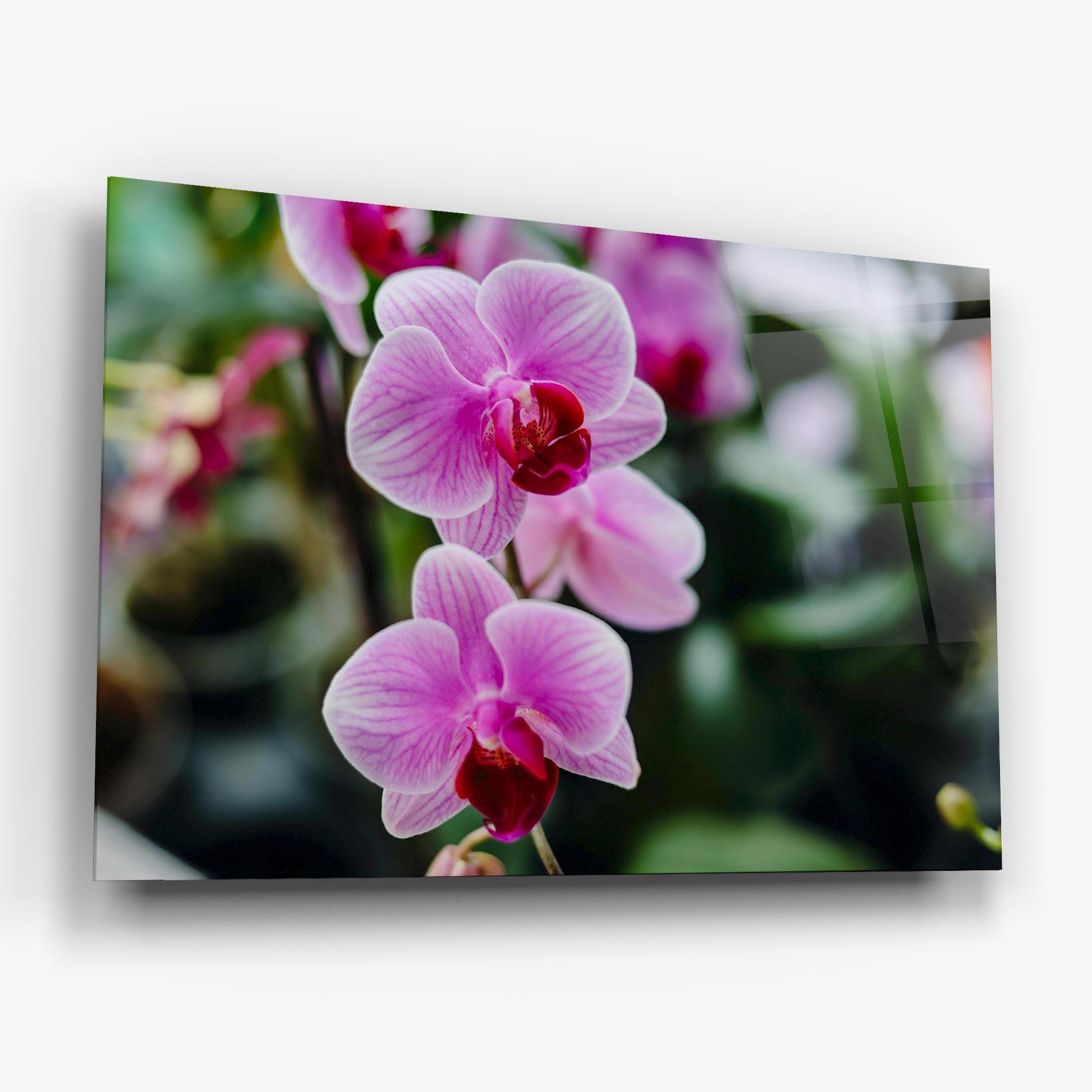 Tablou Sticla Garden Purple Orchids mockup 6
