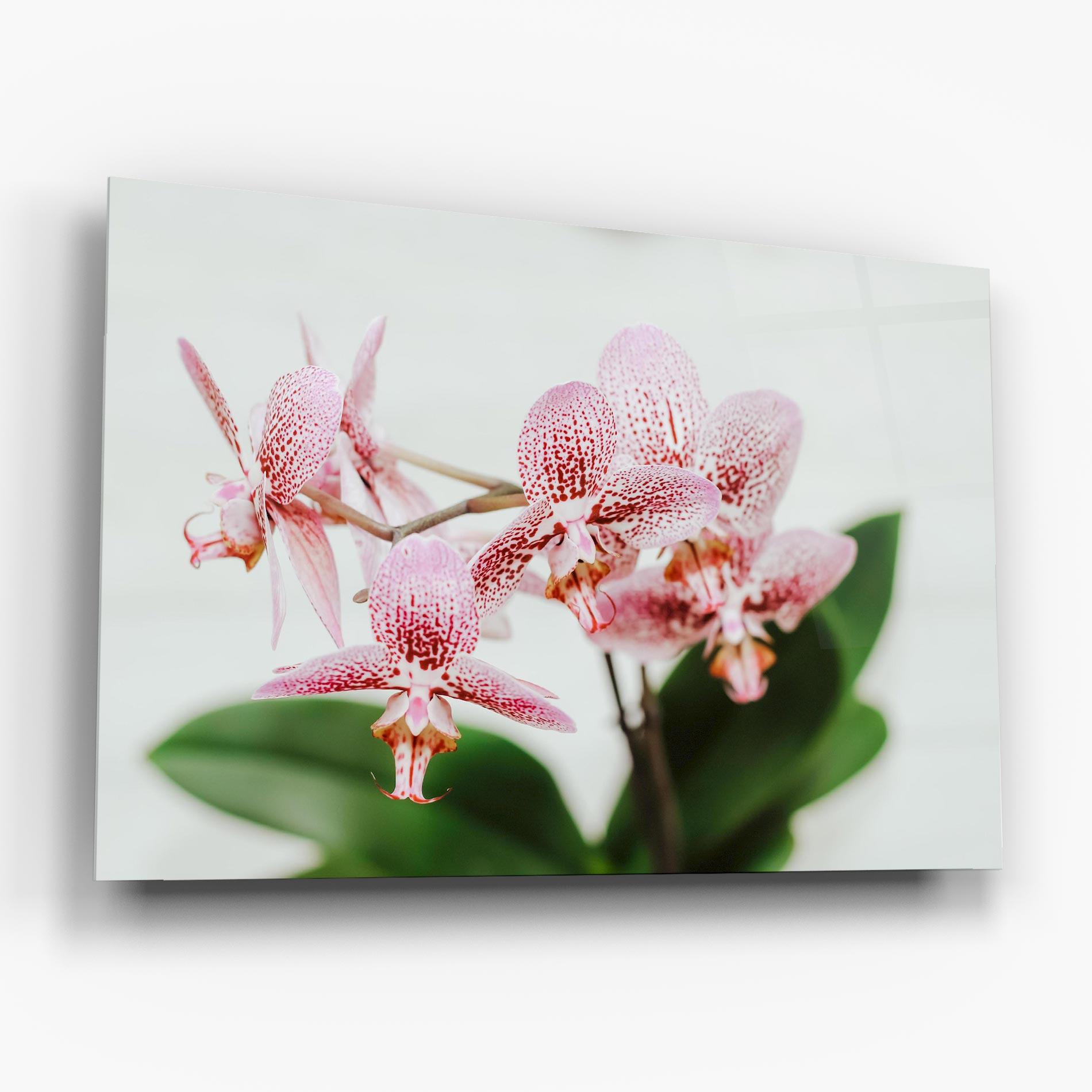 Tablou Sticla Green Orchids mockup 6
