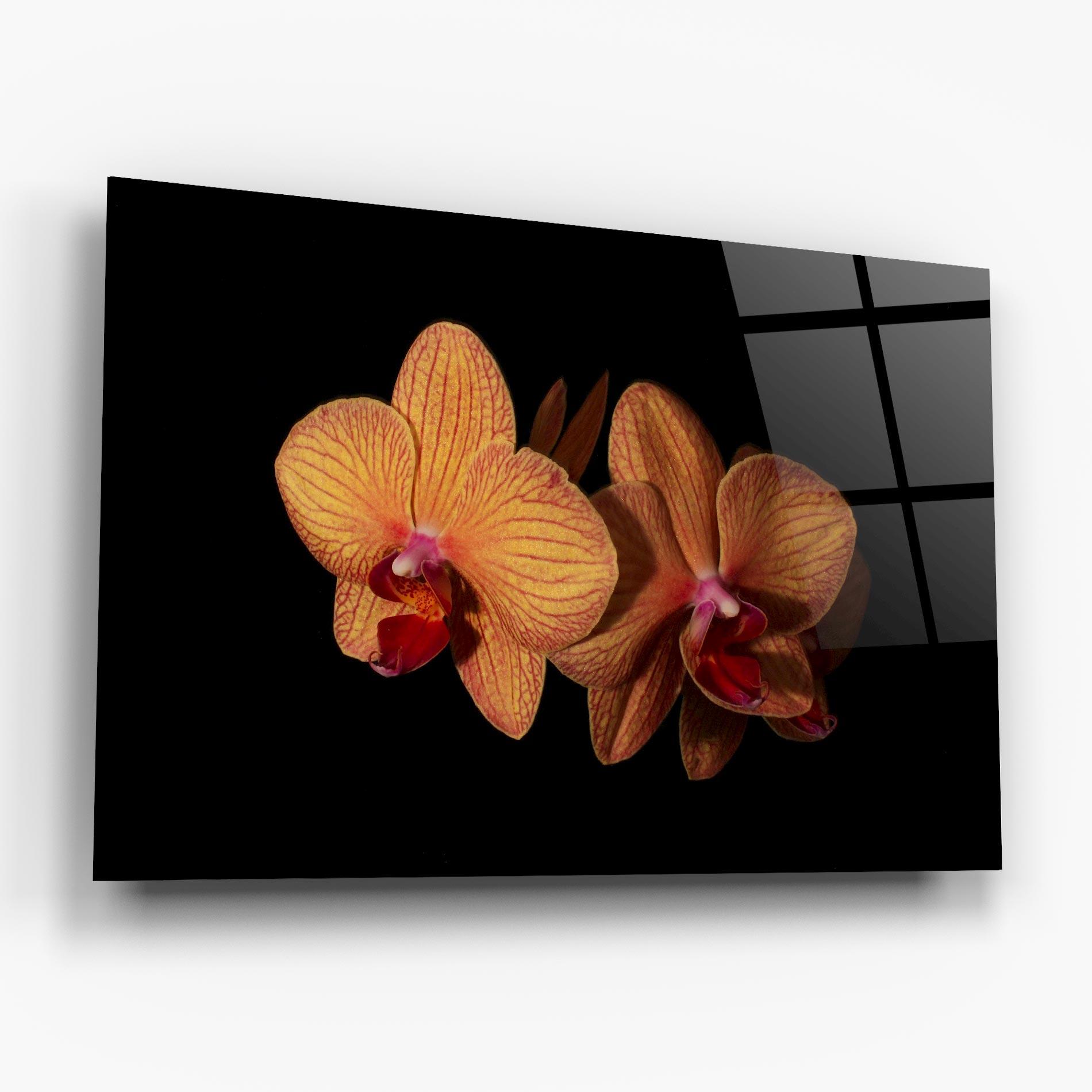 Tablou Sticla Light Orange Orchid mockup 6