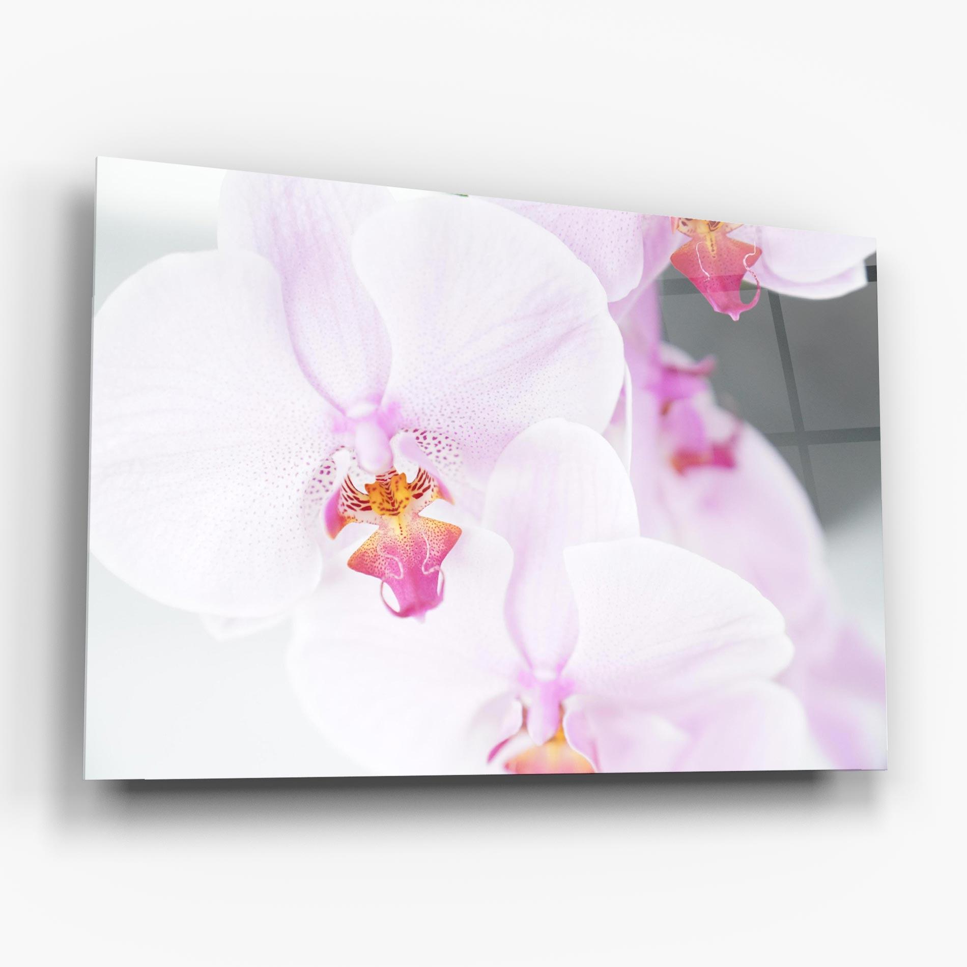 Tablou Sticla Light Purple Orchid mockup 6