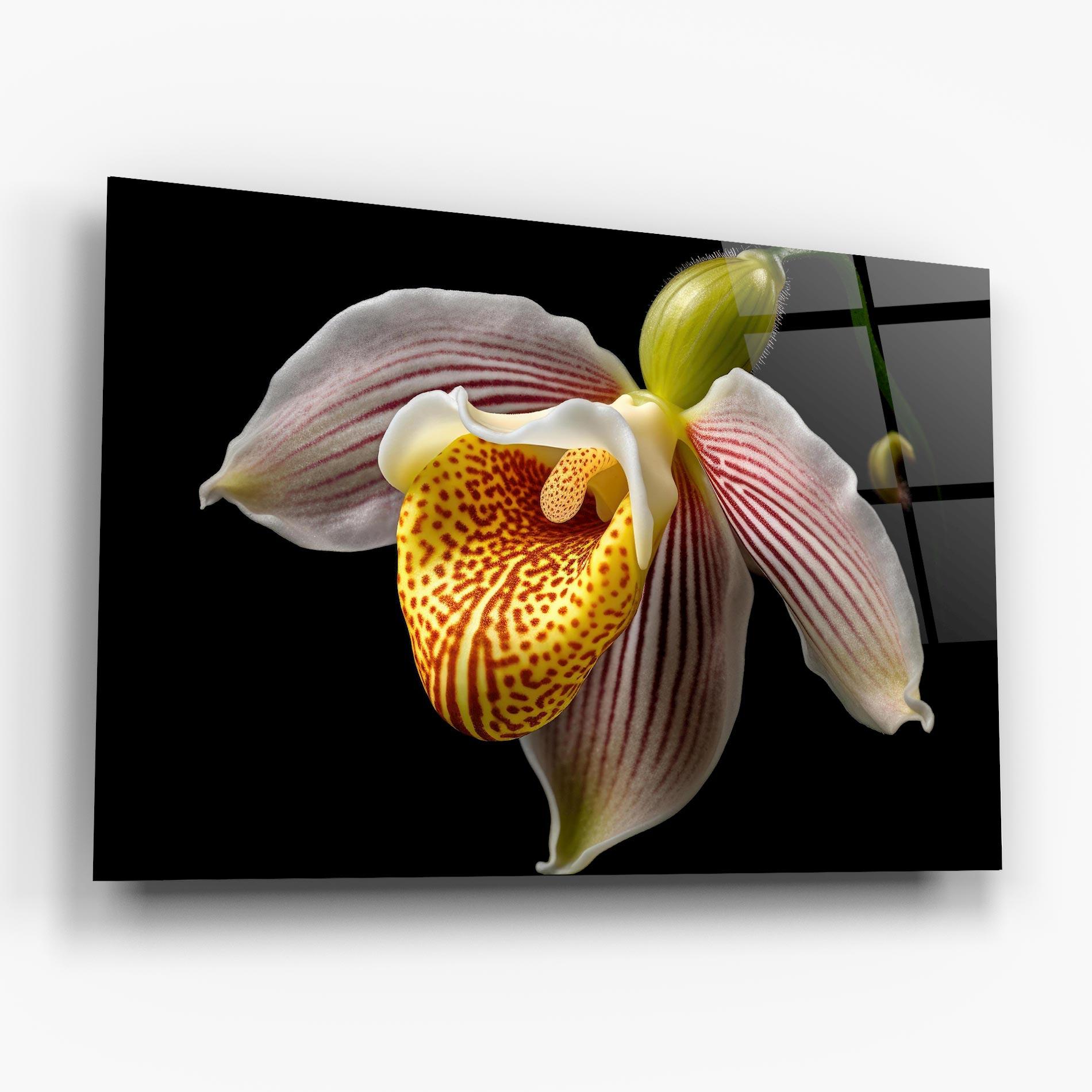 Tablou Sticla Orchid On Black mockup 6