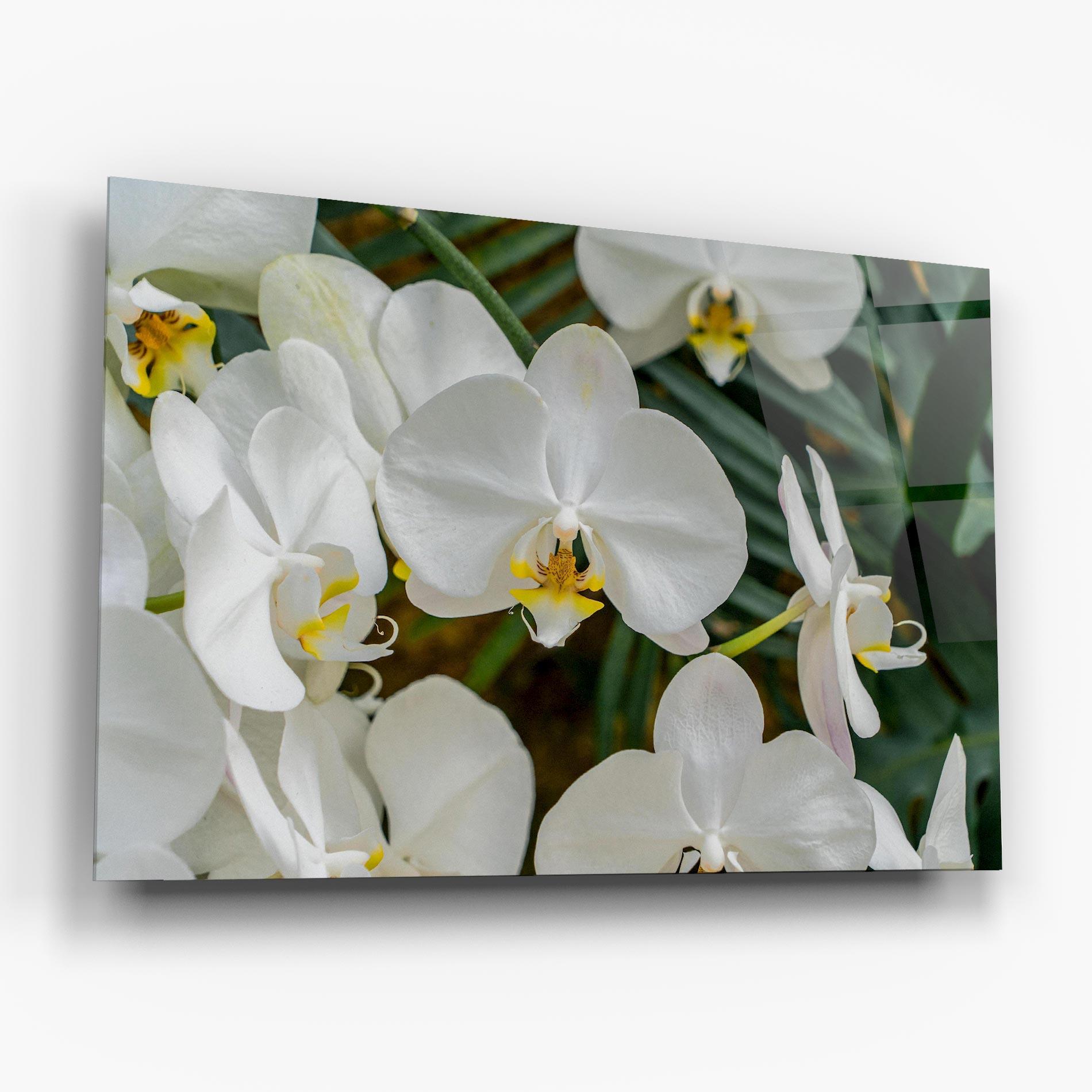 Tablou Sticla Orchids In Nature mockup 6