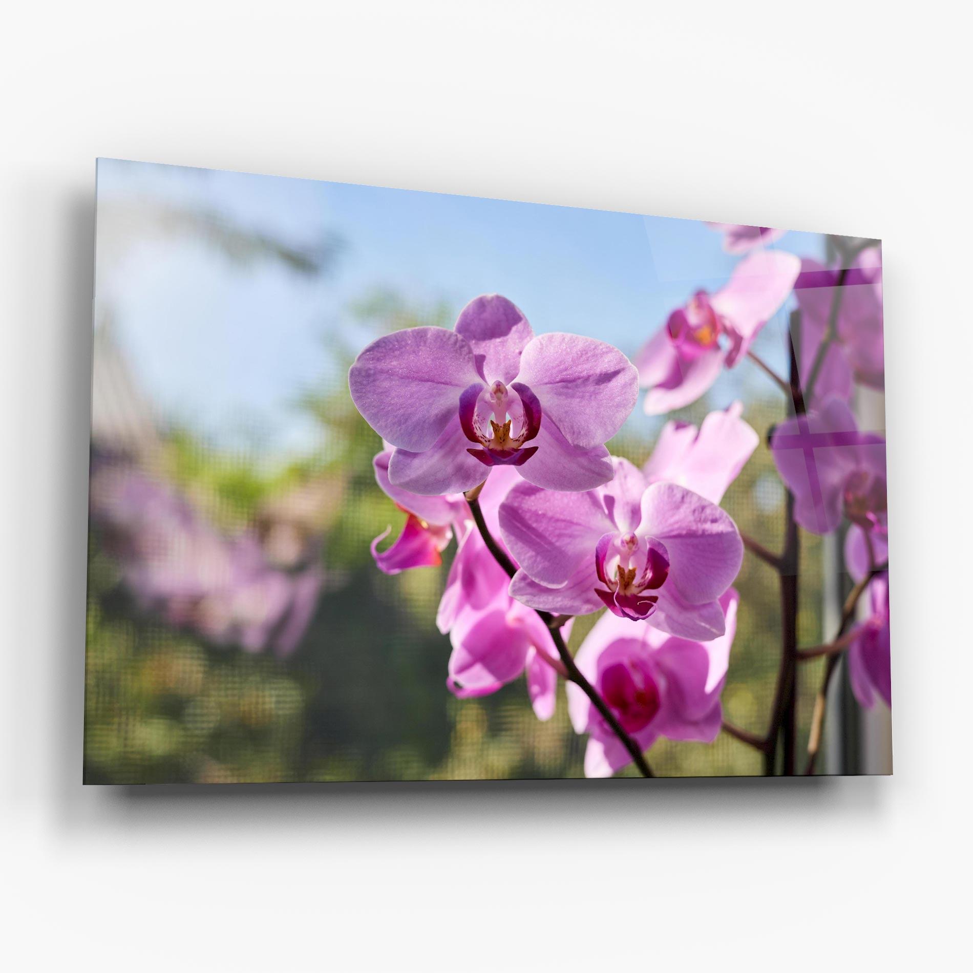 Tablou Sticla Orchids In The Garden mockup 6