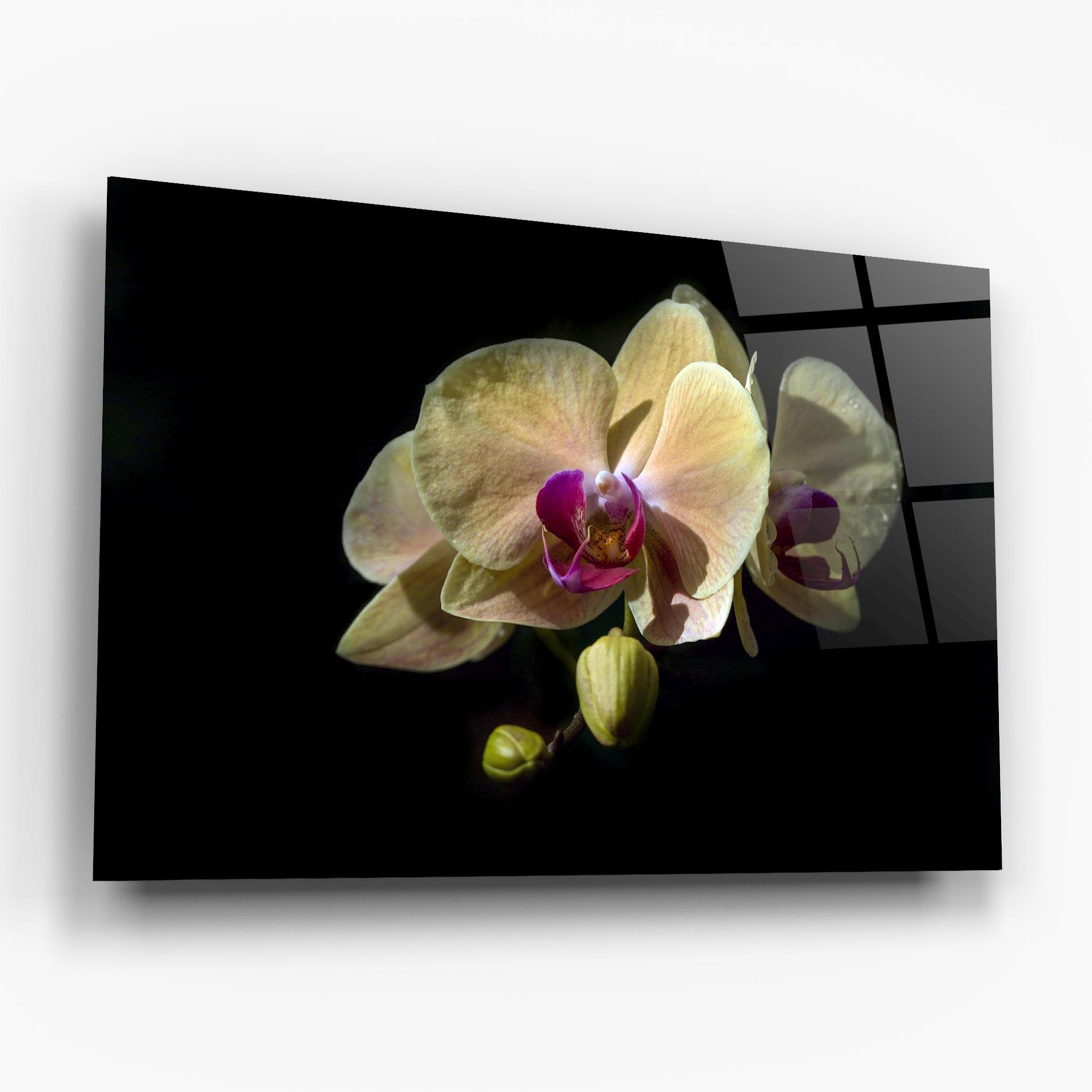 Tablou Sticla Pastel Yellow Orchids mockup 6
