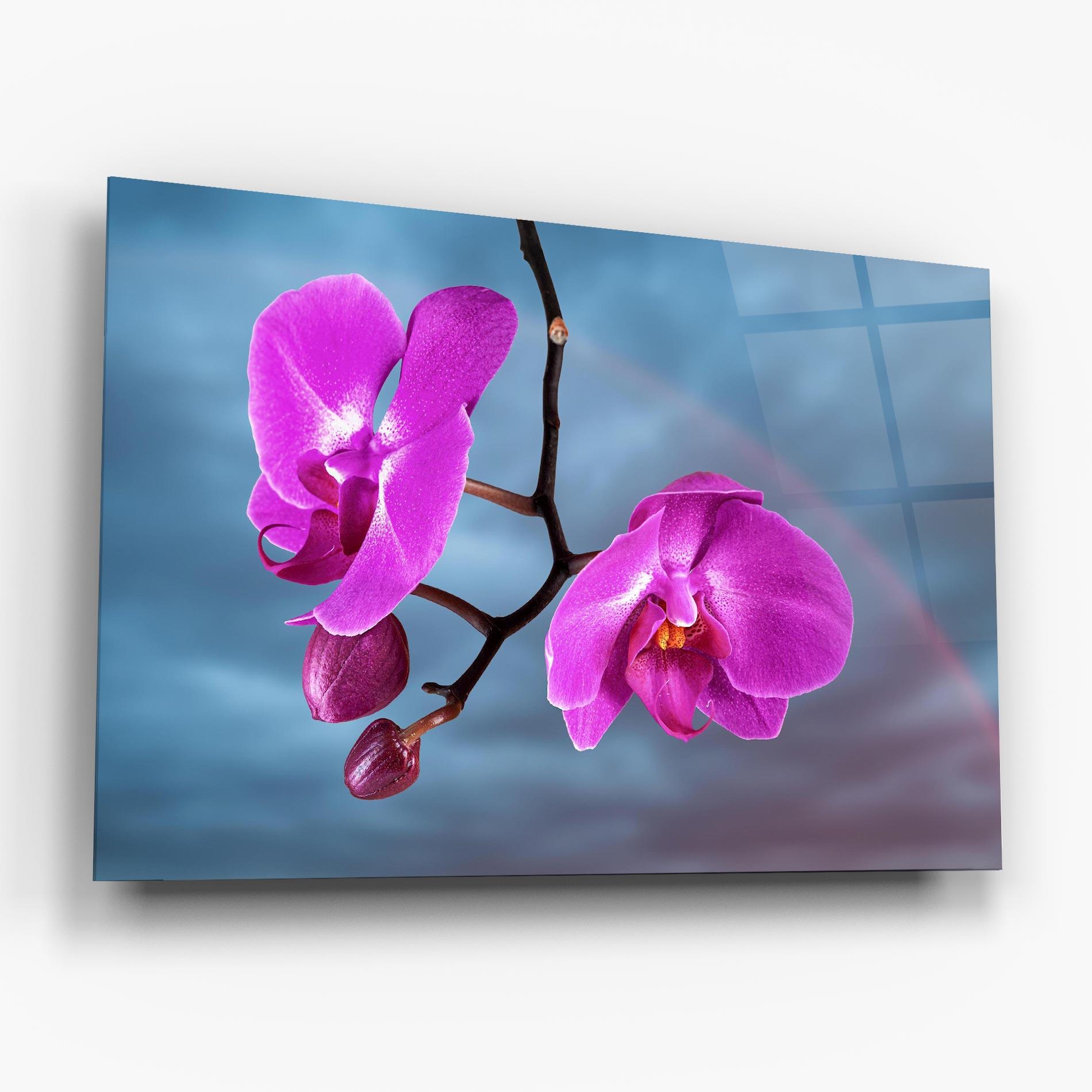 Tablou Sticla Sky Purple Orchid mockup 6