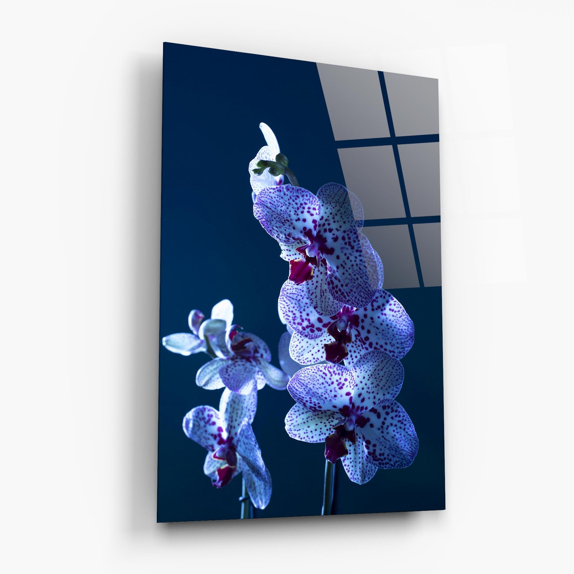 Tablou Sticla Blue Light Orchid mockup 6