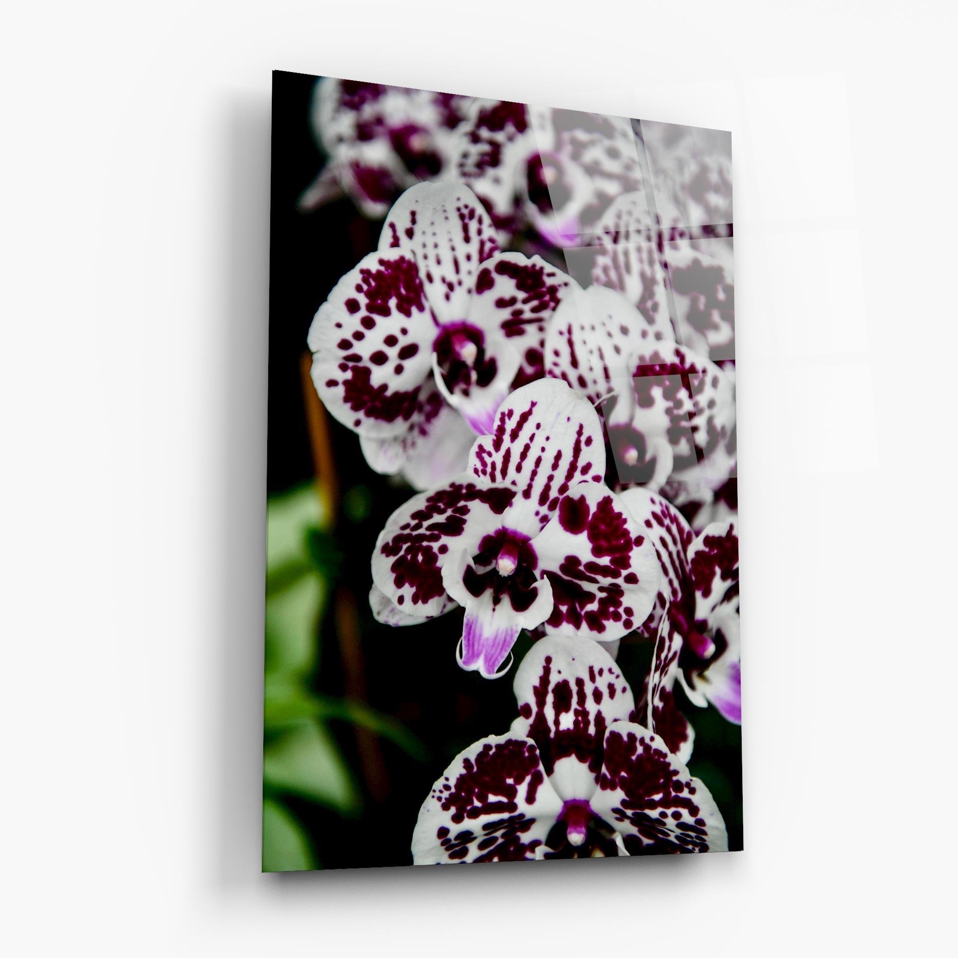 Tablou Sticla Dark Purple Orchids mockup 6