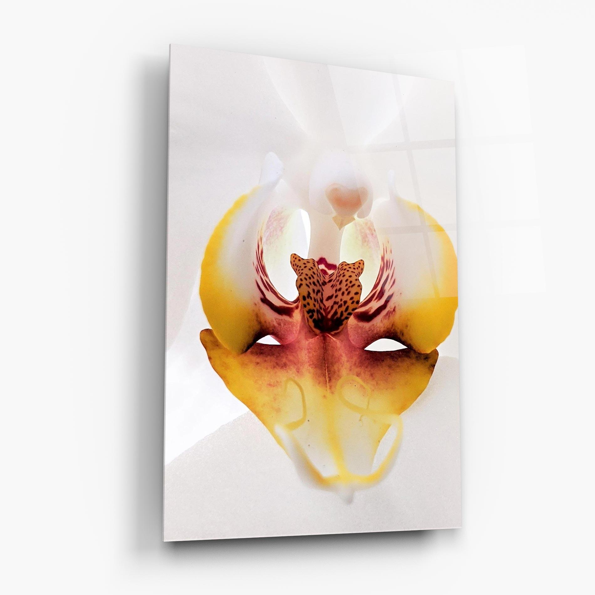 Tablou Sticla Orchid Close Up mockup 6