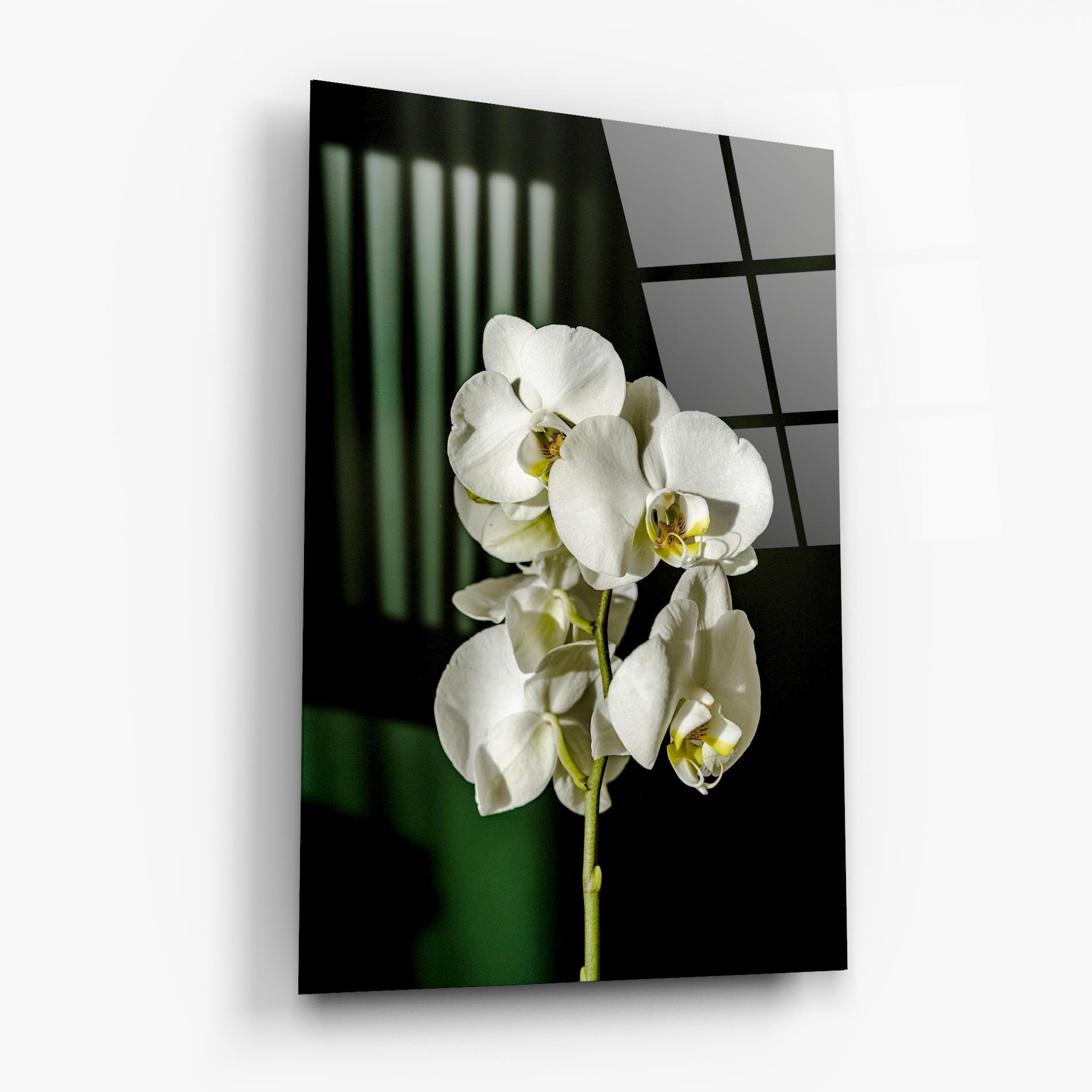 Tablou Sticla Orchid On Green mockup 6