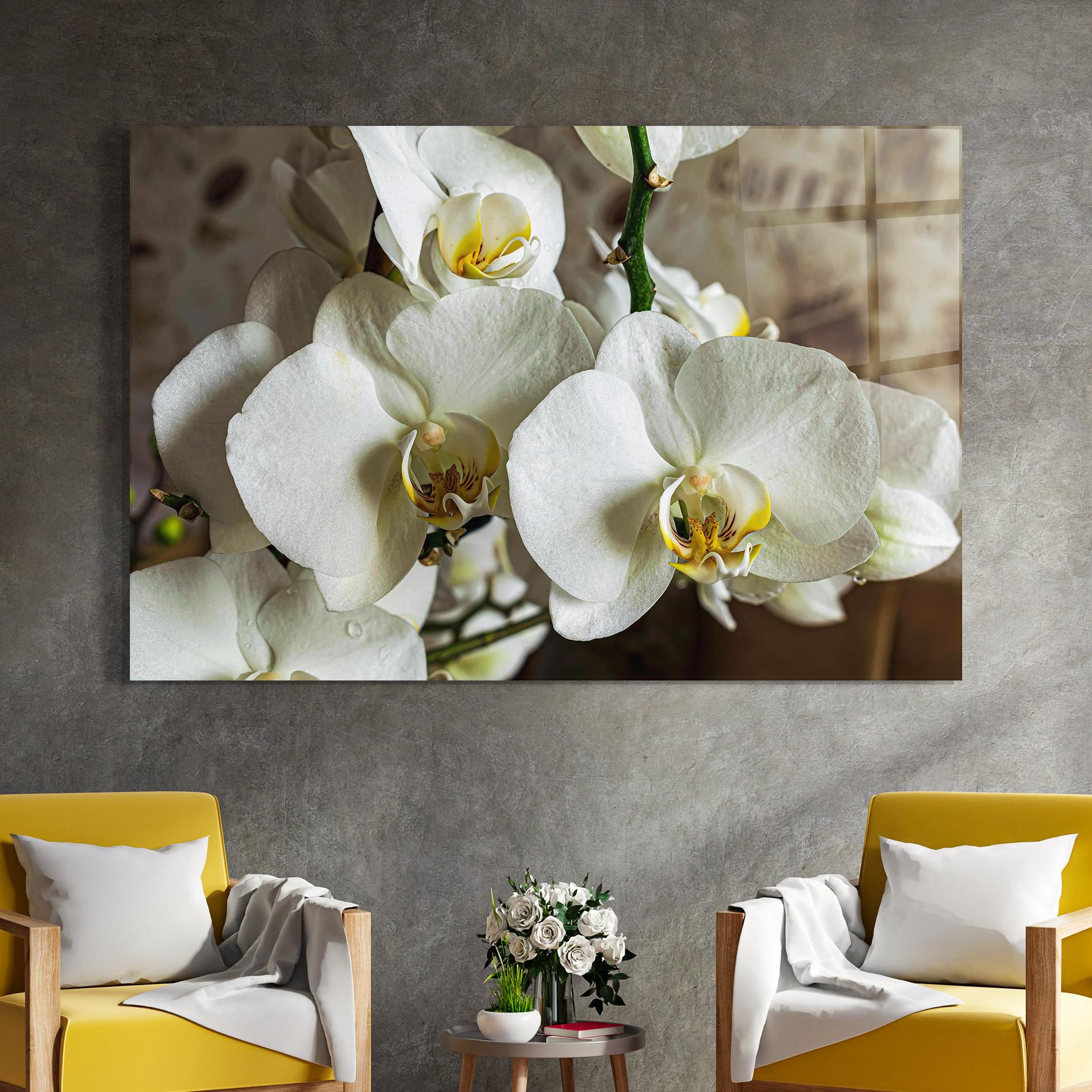 Tablou Sticla Beautiful White Orchids mockup 4