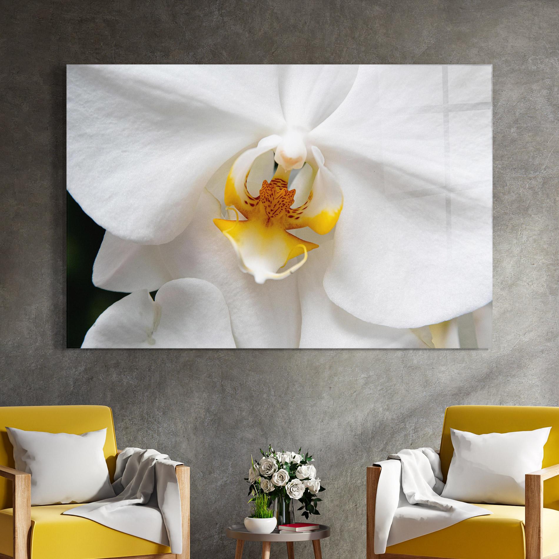 Tablou Sticla Big Orchid Close Up mockup 4