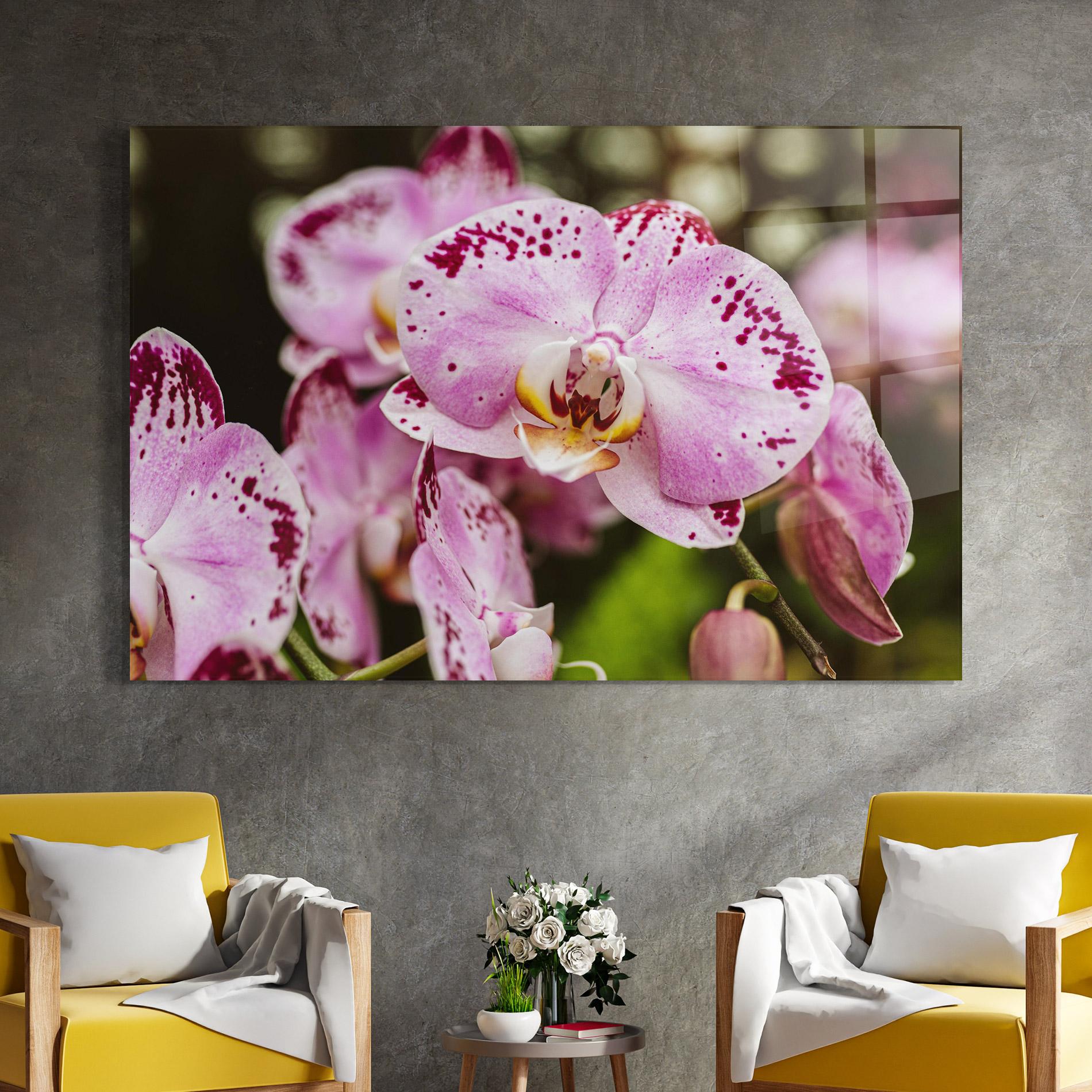 Tablou Sticla Big Pink Orchid In Nature mockup 4