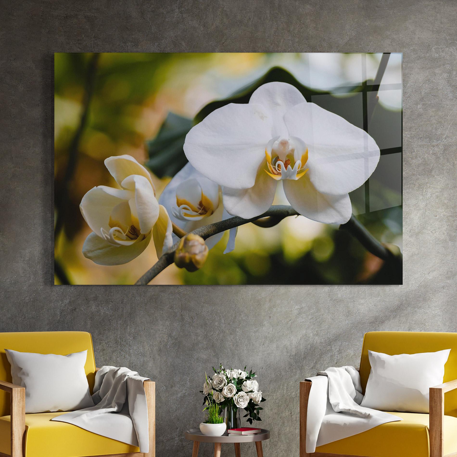 Tablou Sticla Cream Orchid In Nature mockup 4