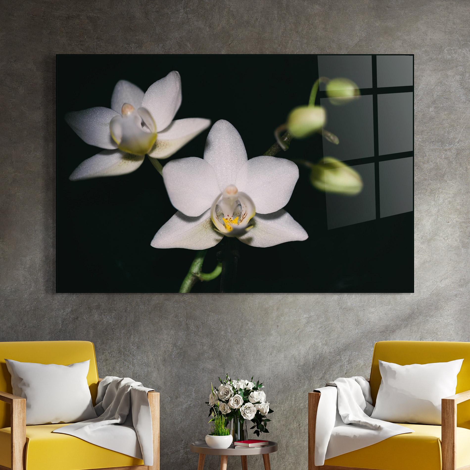 Tablou Sticla Orchids On Black mockup 4