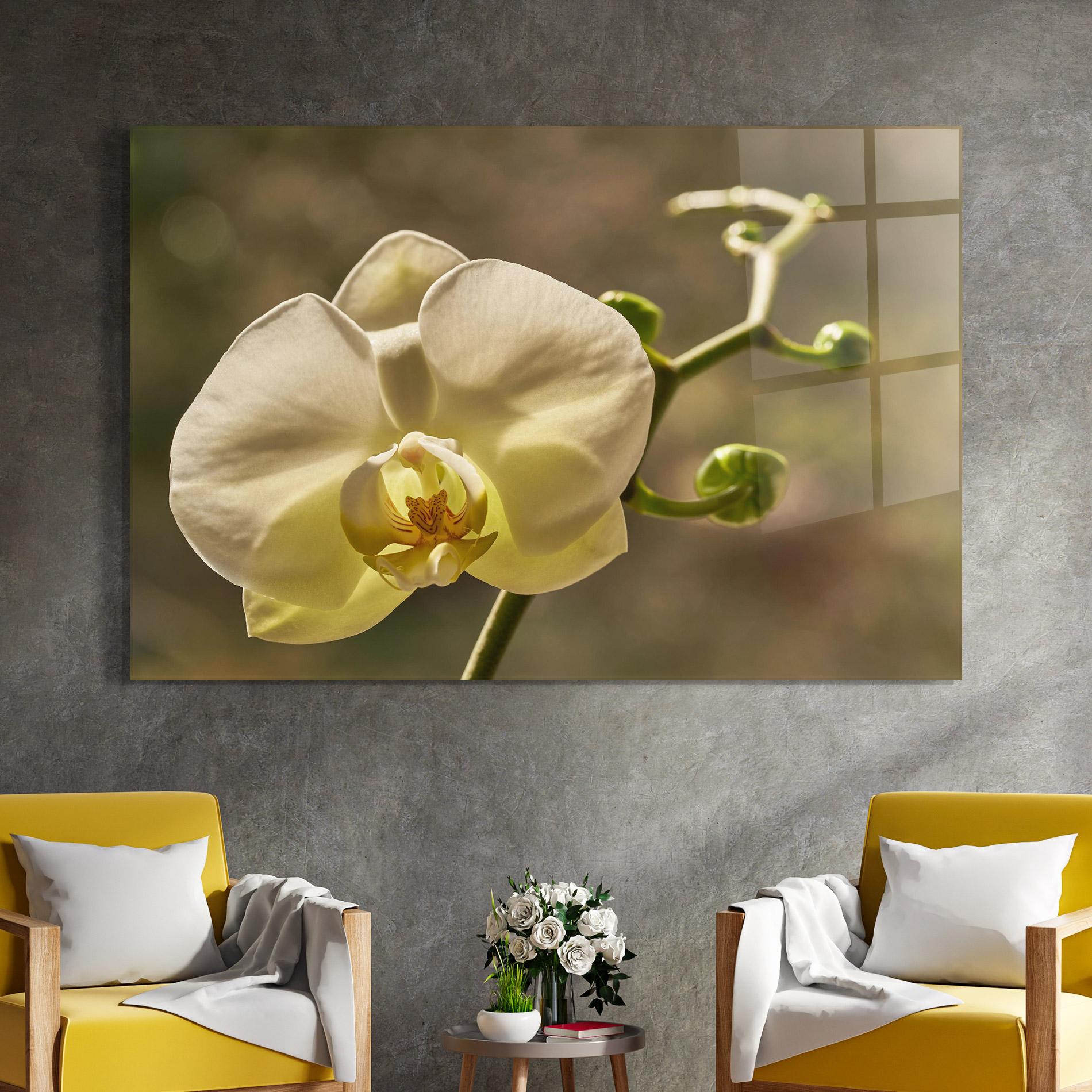Tablou Sticla Pastel Yellow Orchid In Garden mockup 4