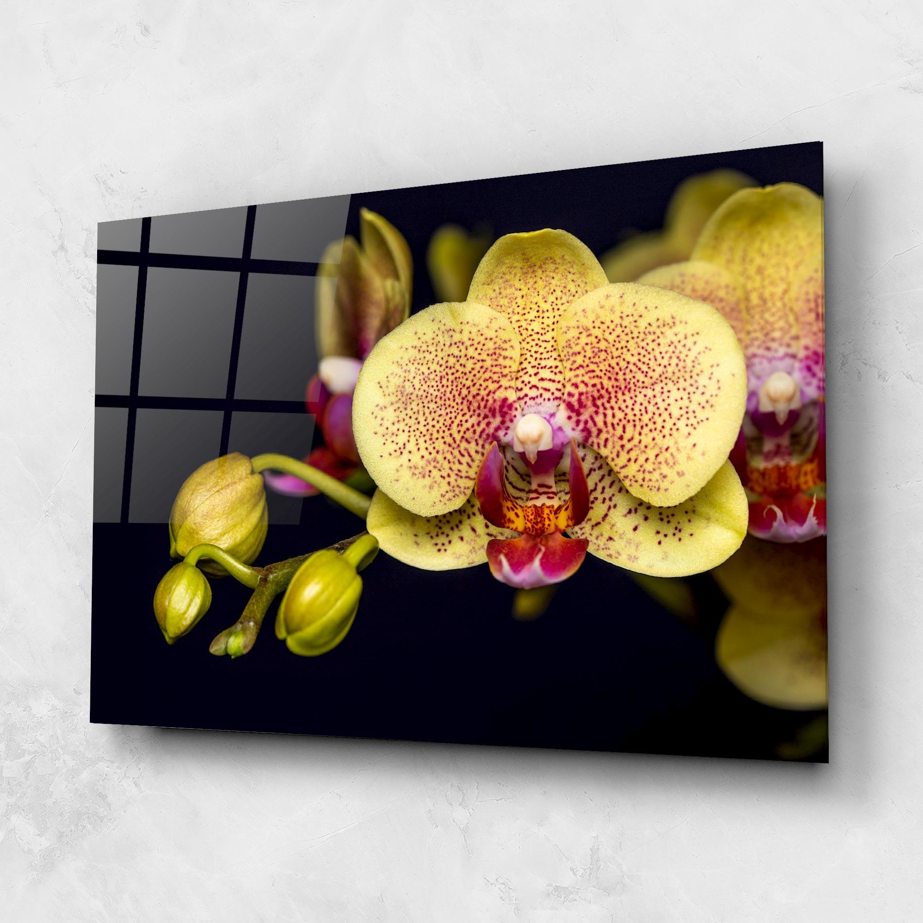Tablou Sticla Baby Orchid mockup 1