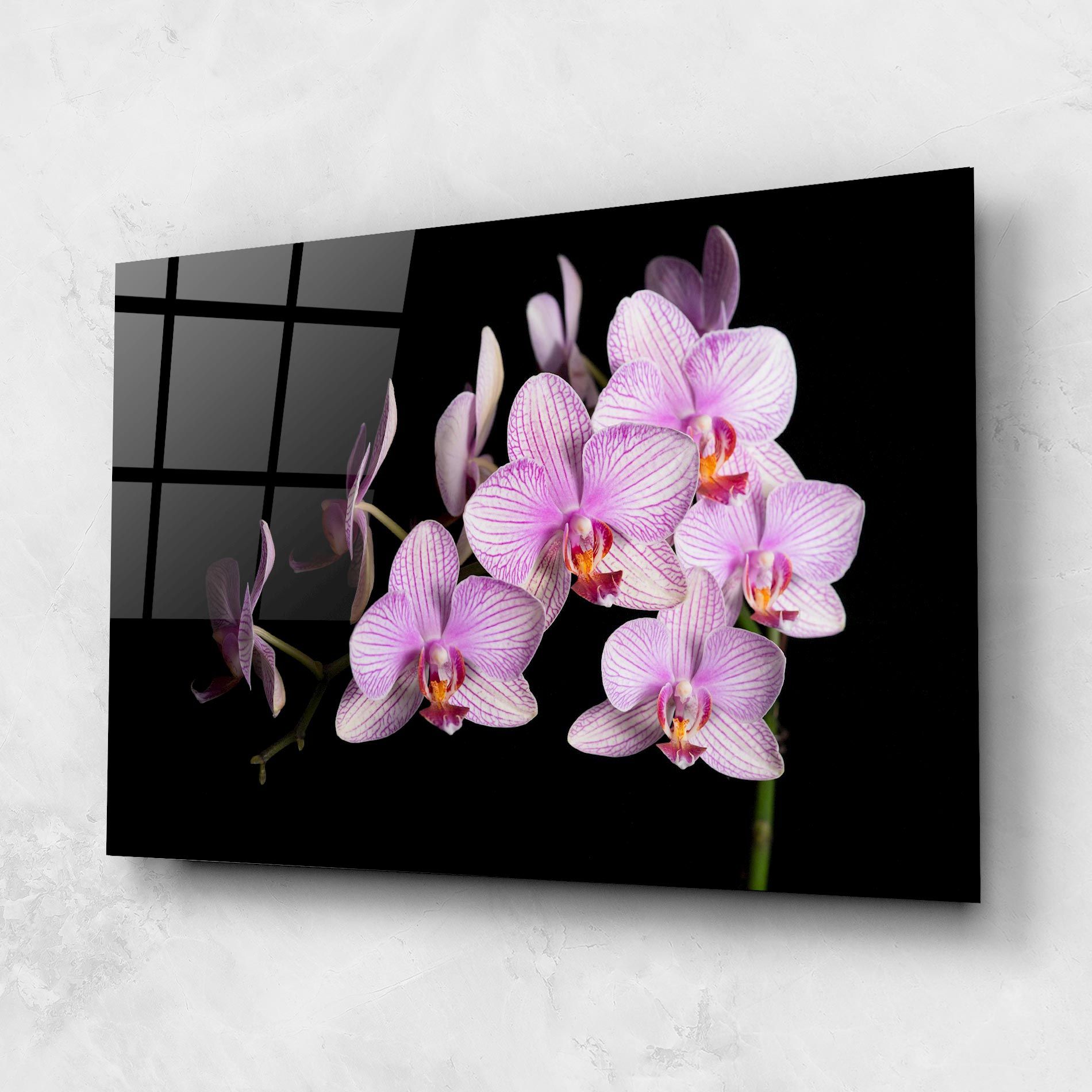 Beautiful Orchids On Black mockup 1