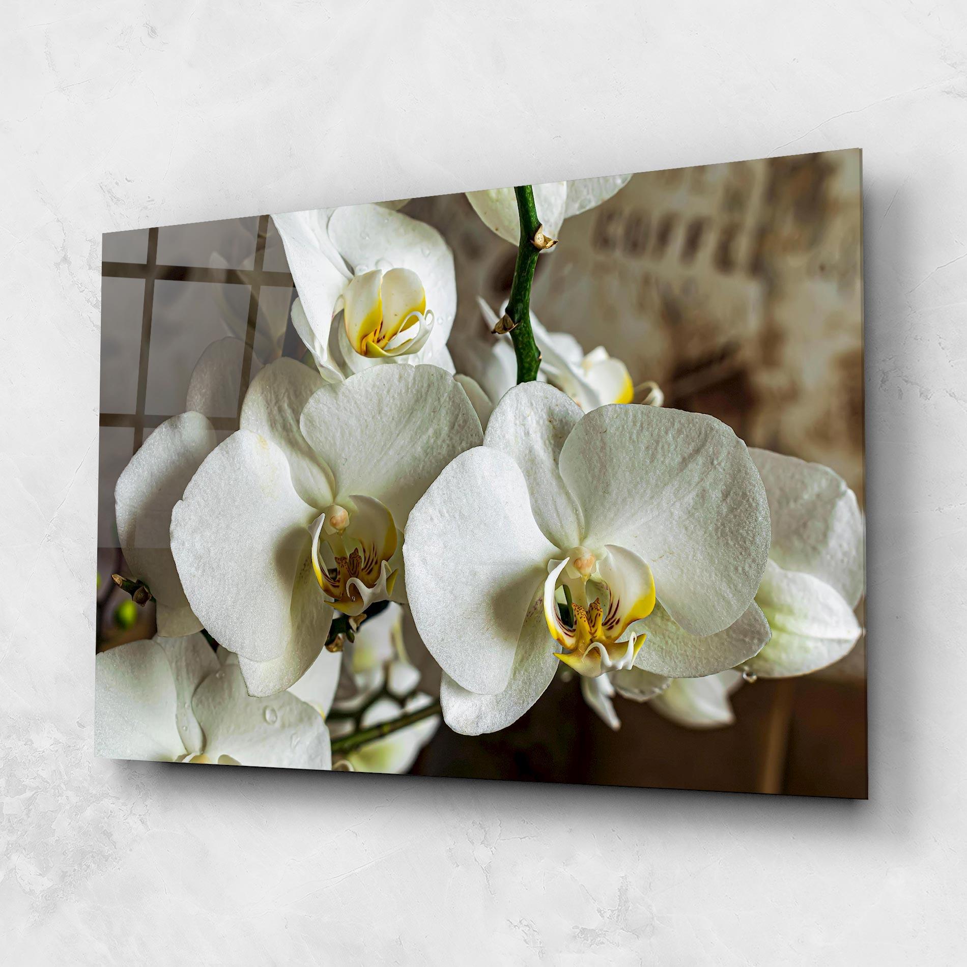 Tablou Sticla Beautiful White Orchids mockup 1
