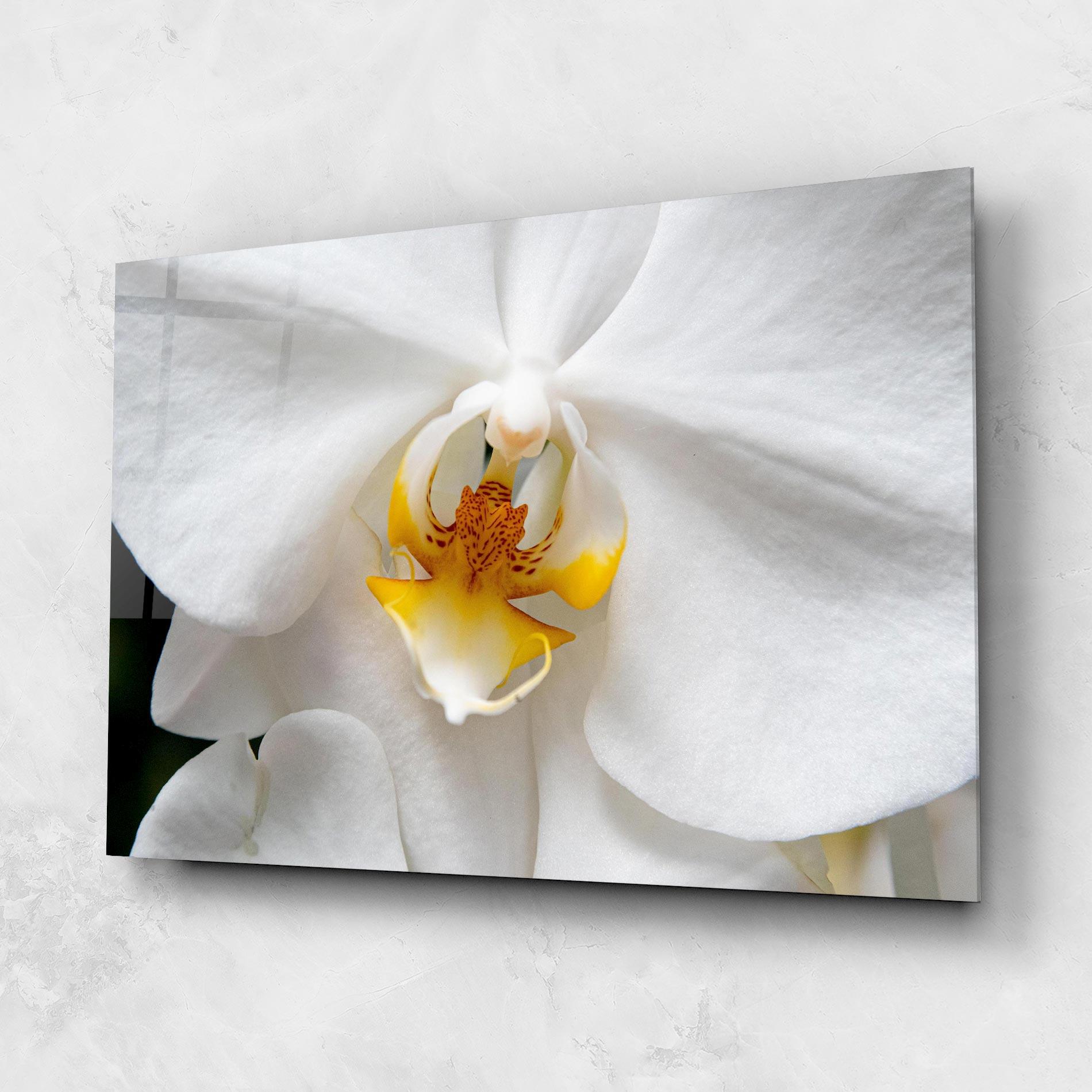 Tablou Sticla Big Orchid Close Up mockup 1