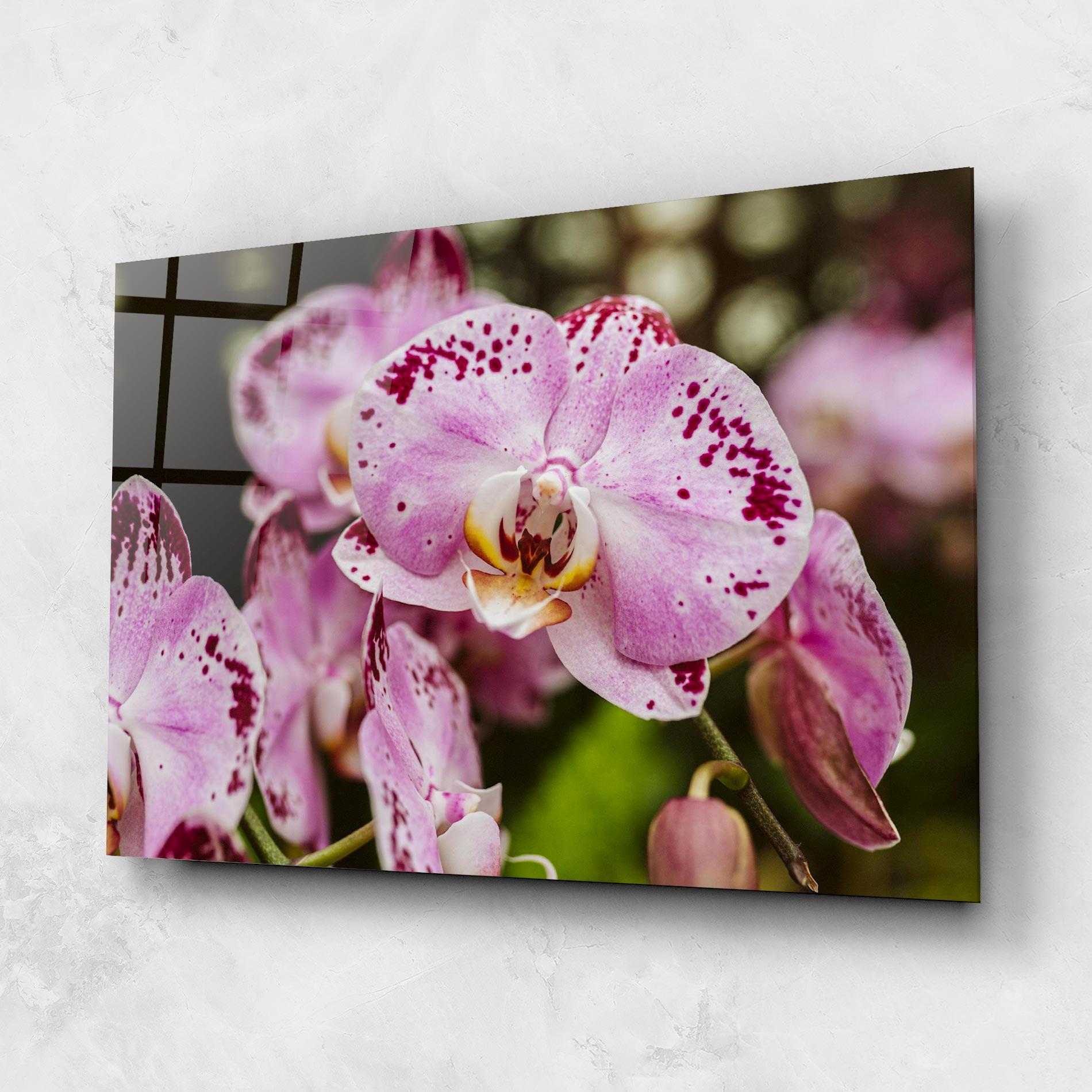 Tablou Sticla Big Pink Orchid In Nature mockup 1