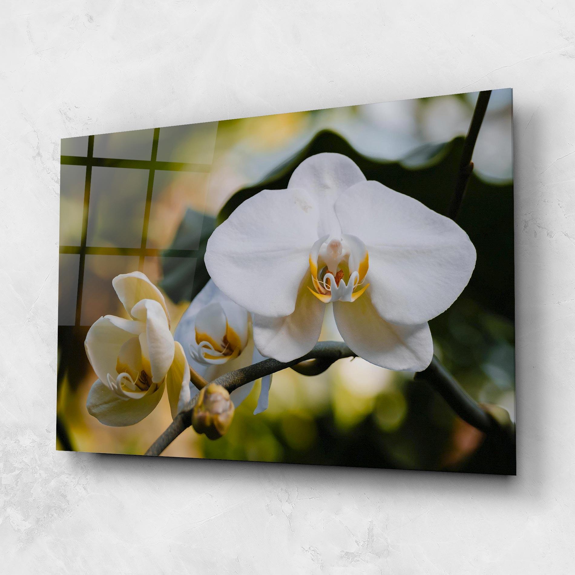 Tablou Sticla Cream Orchid In Nature mockup 1