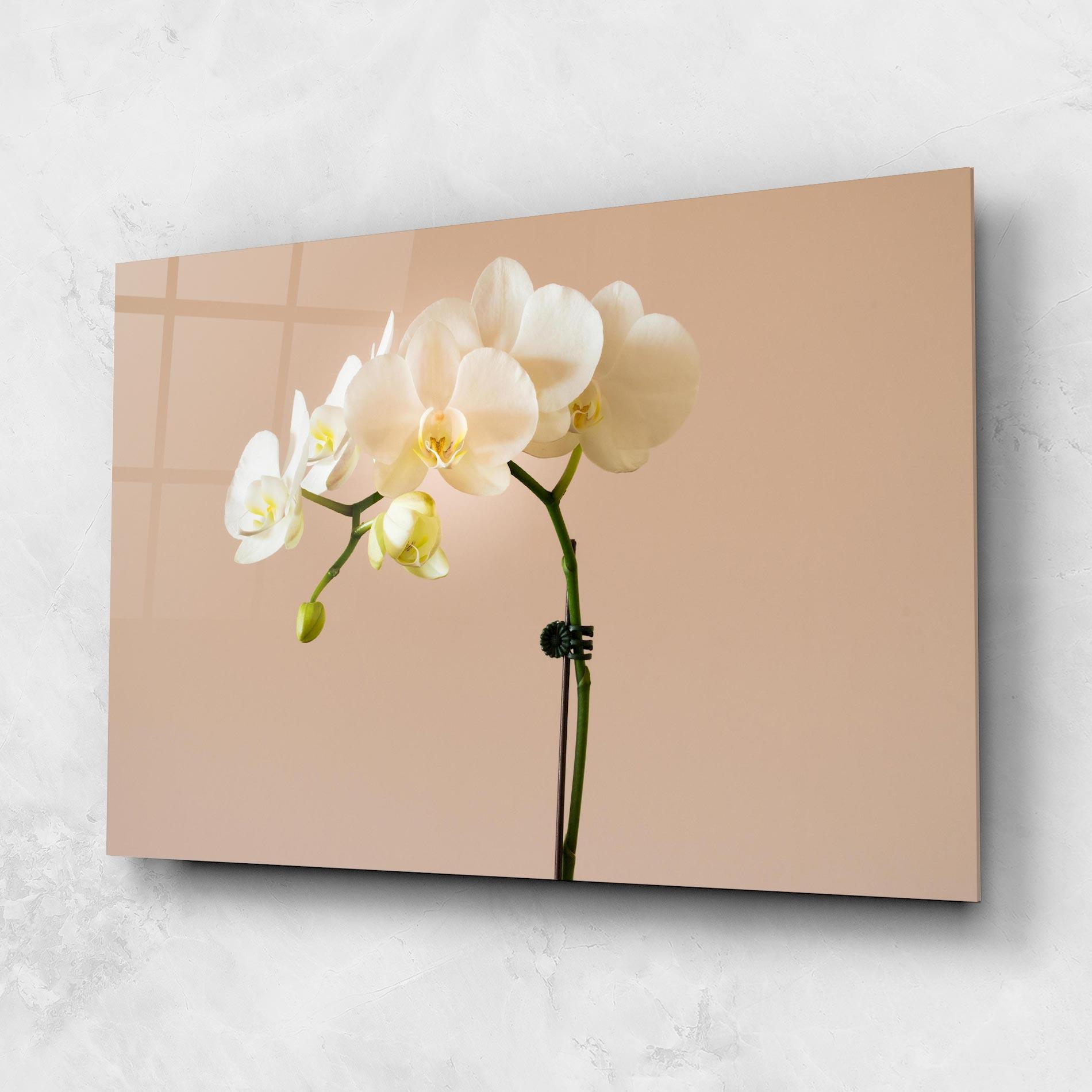 Tablou Sticla Cream Orchid On Pink mockup 1