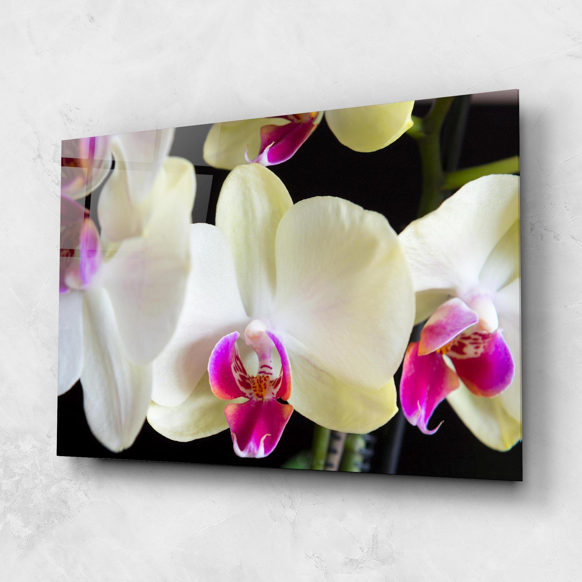 Tablou Sticla Cream Purple Orchids mockup 1