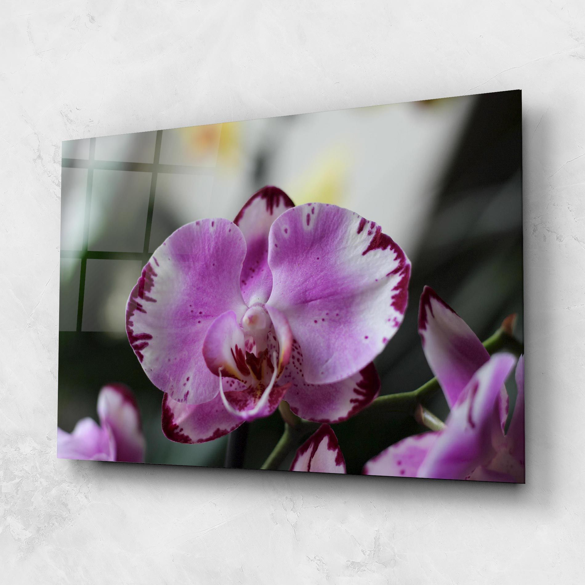 Dark Purple Orchids In Nature mockup 1
