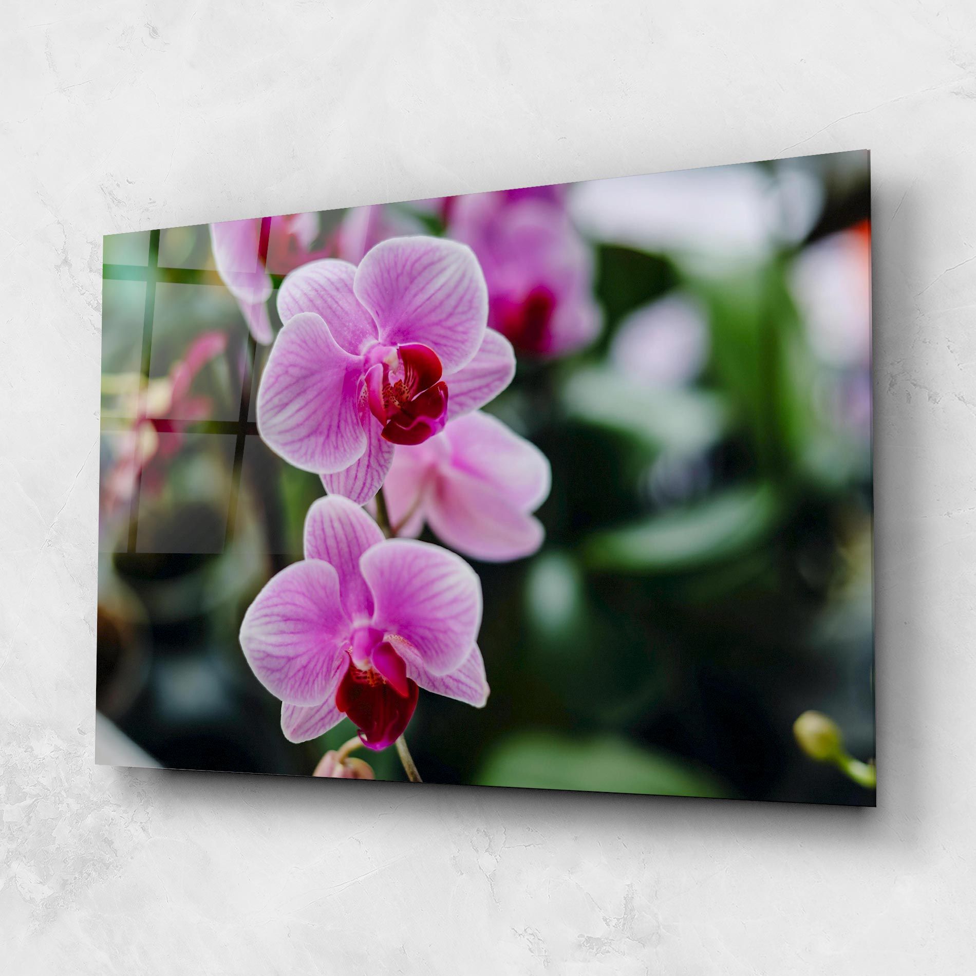 Garden Purple Orchids mockup 1