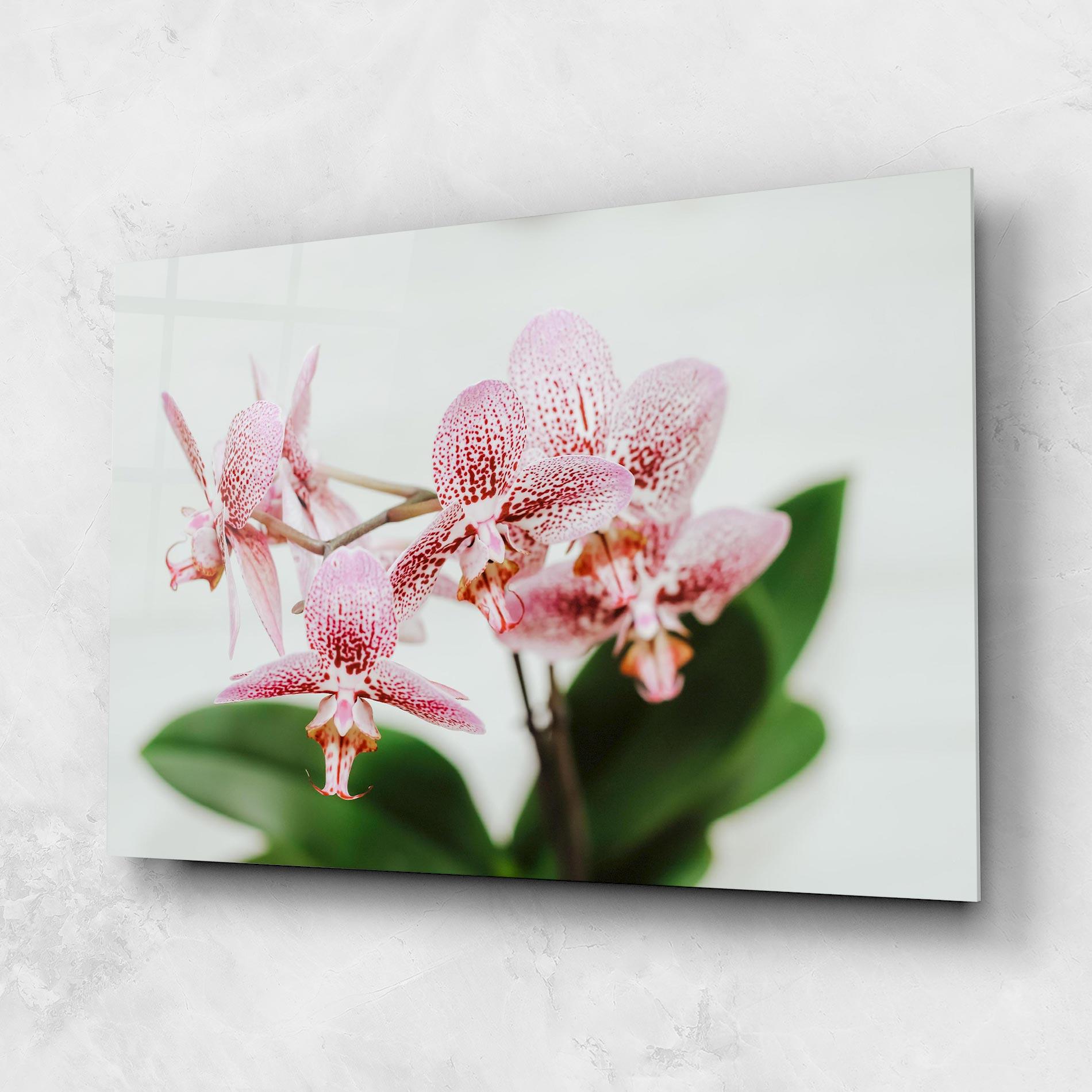 Tablou Sticla Green Orchids mockup 1