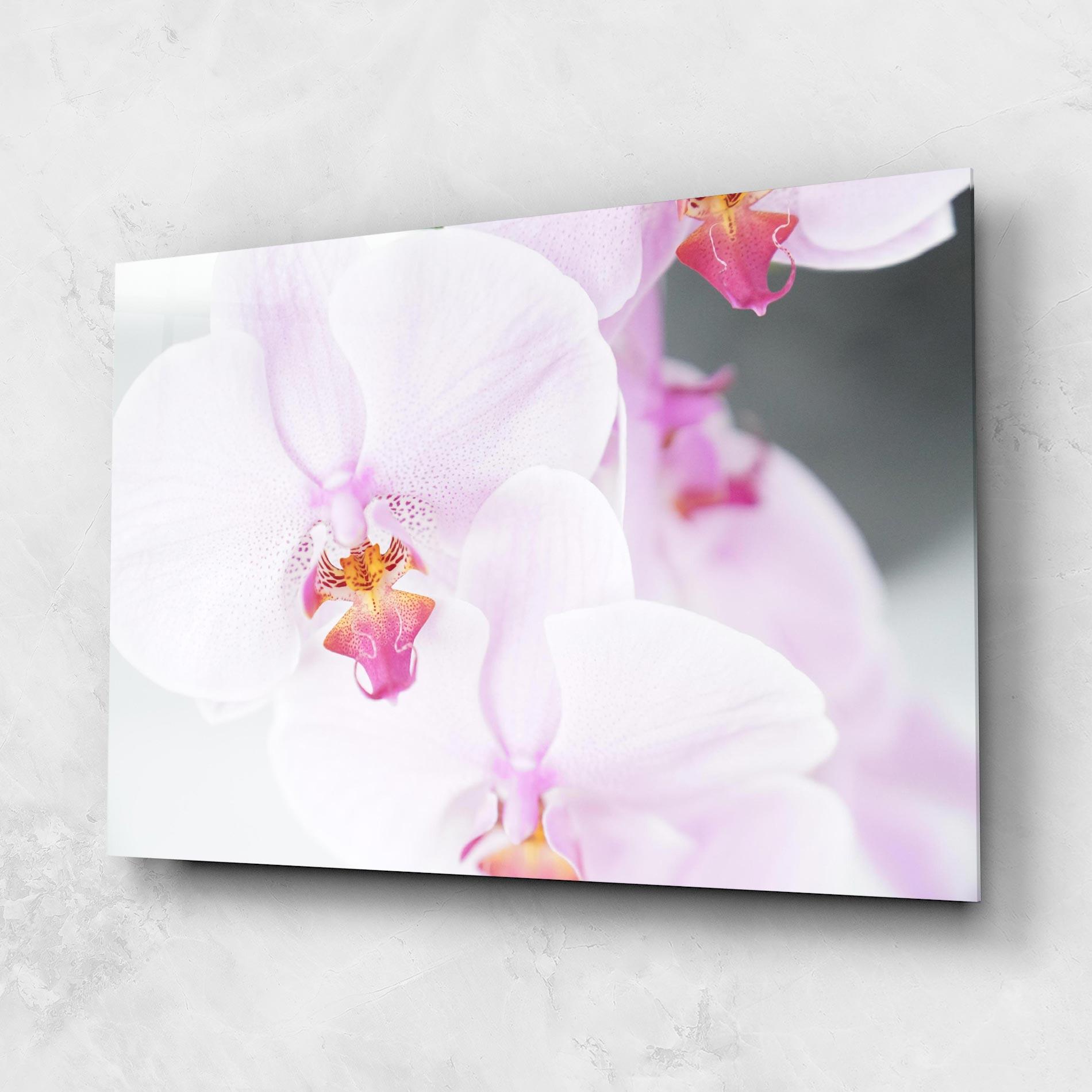 Tablou Sticla Light Purple Orchid mockup 1