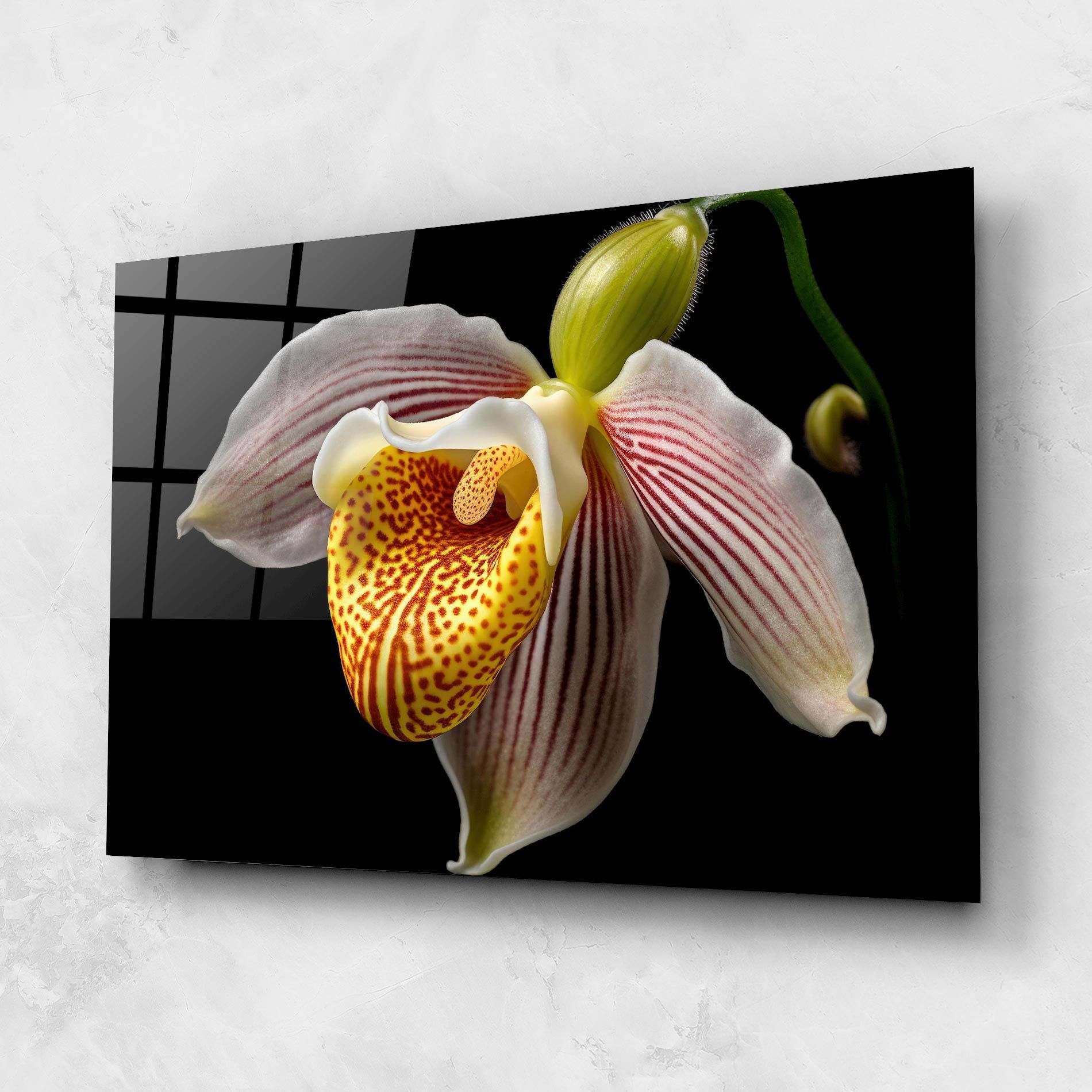 Orchid On Black mockup 1