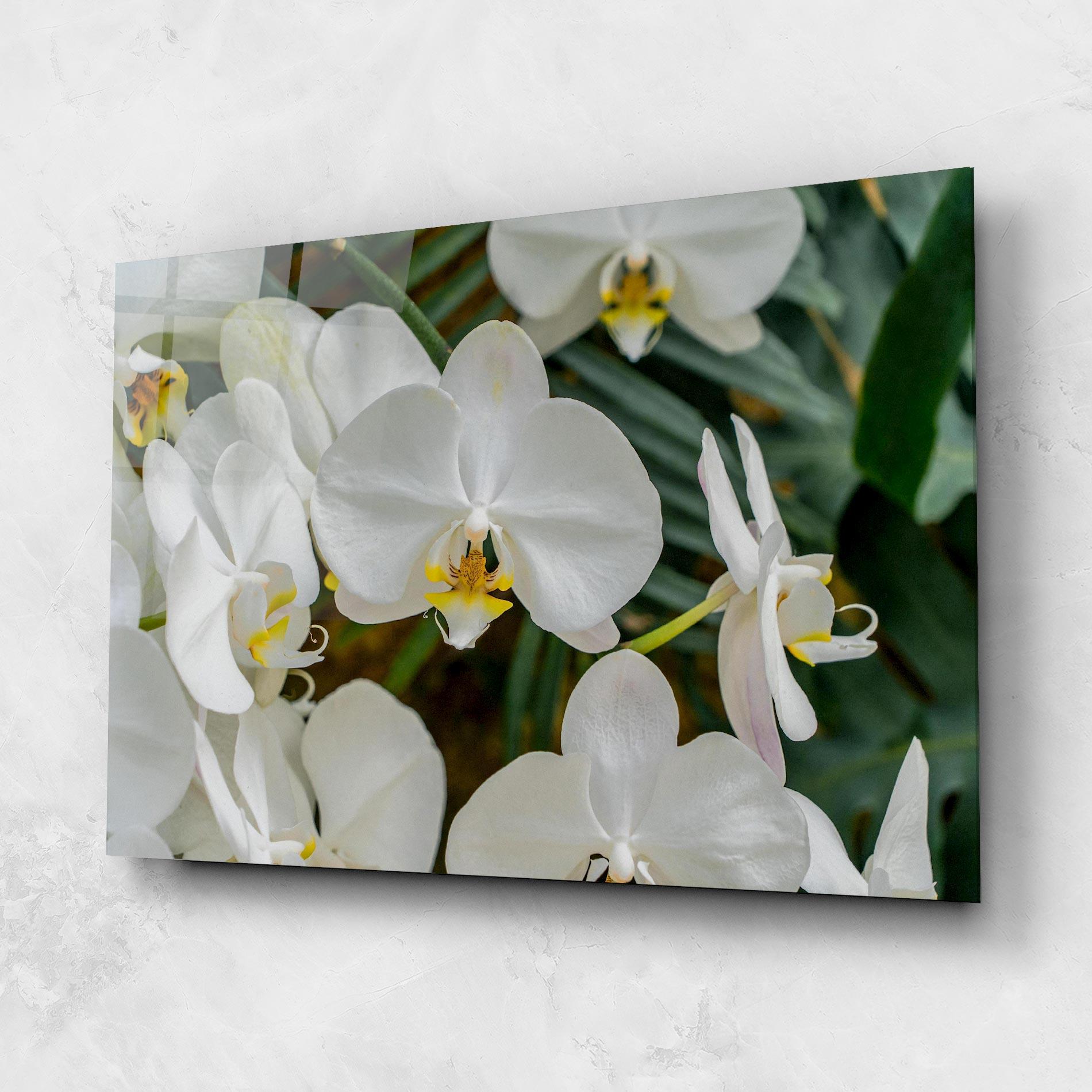 Tablou Sticla Orchids In Nature mockup 1