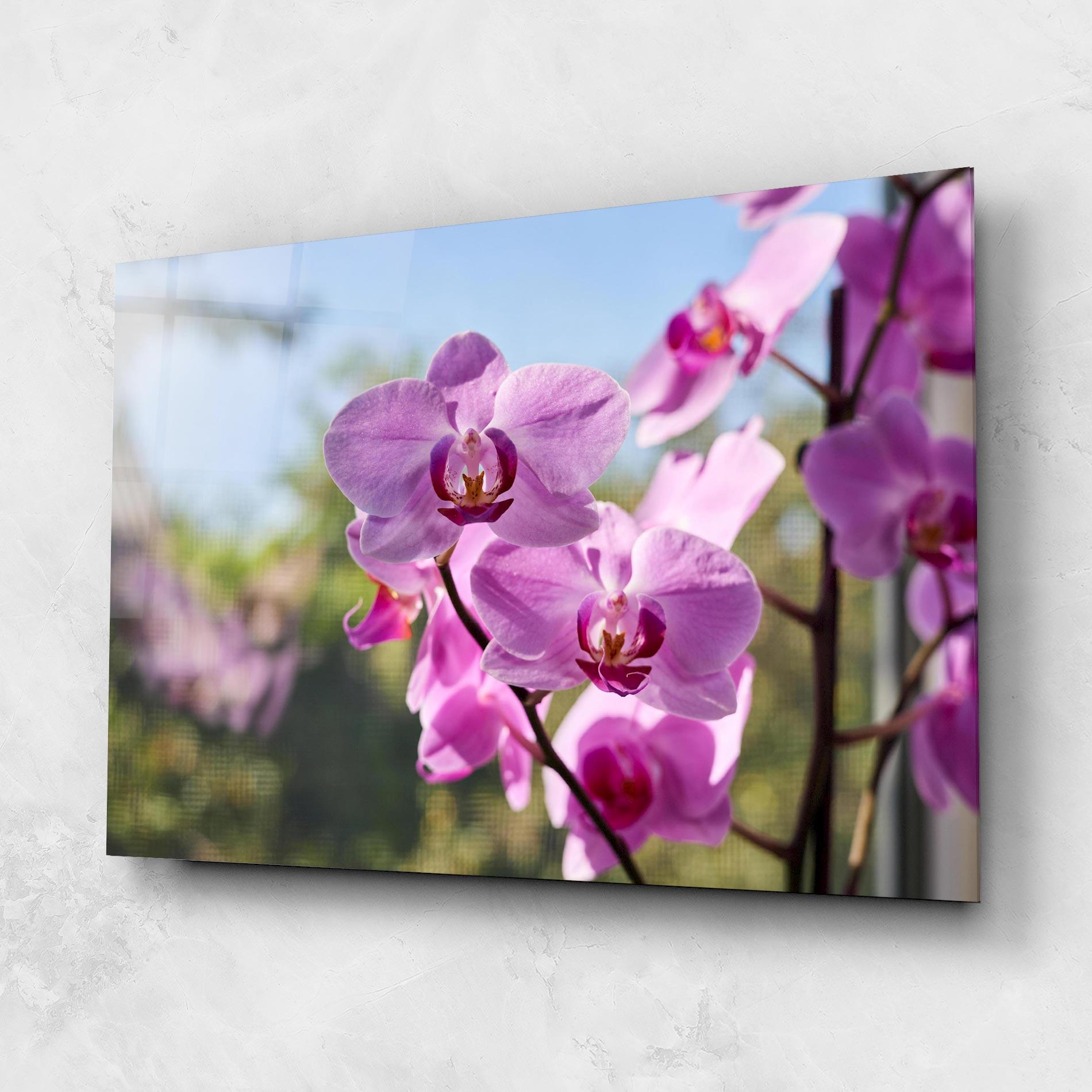 Tablou Sticla Orchids In The Garden mockup 1
