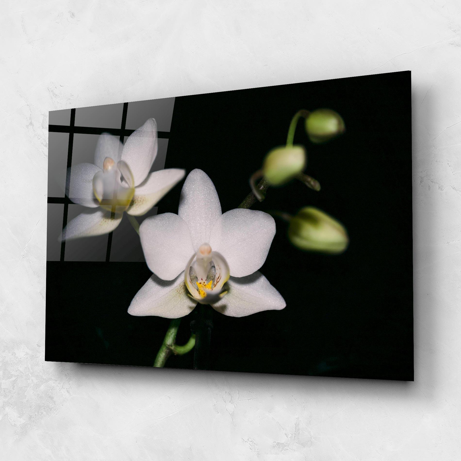 Tablou Sticla Orchids On Black mockup 1