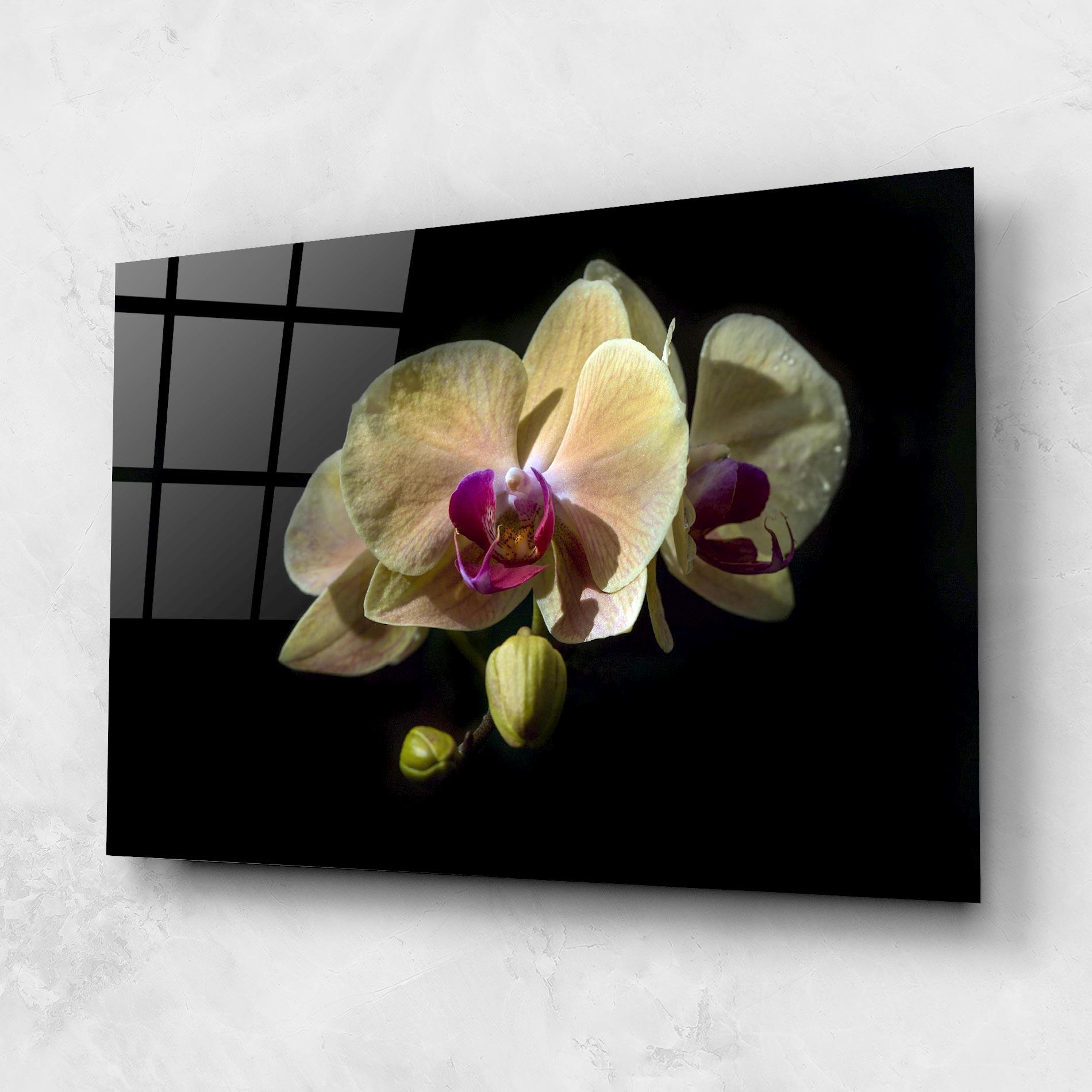 Tablou Sticla Pastel Yellow Orchids mockup 1