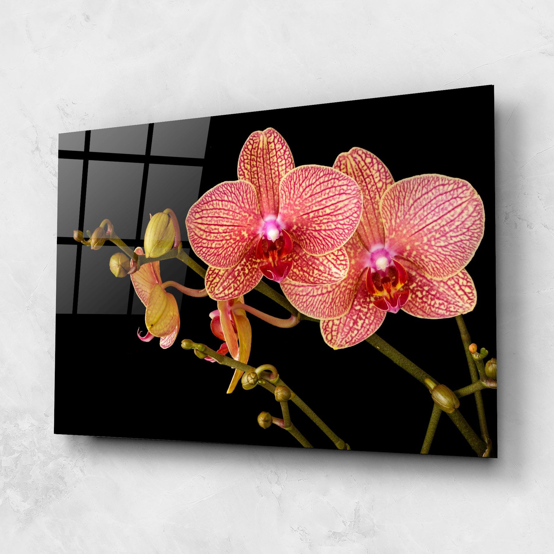 Tablou Sticla Pink Orchids On Black mockup 1
