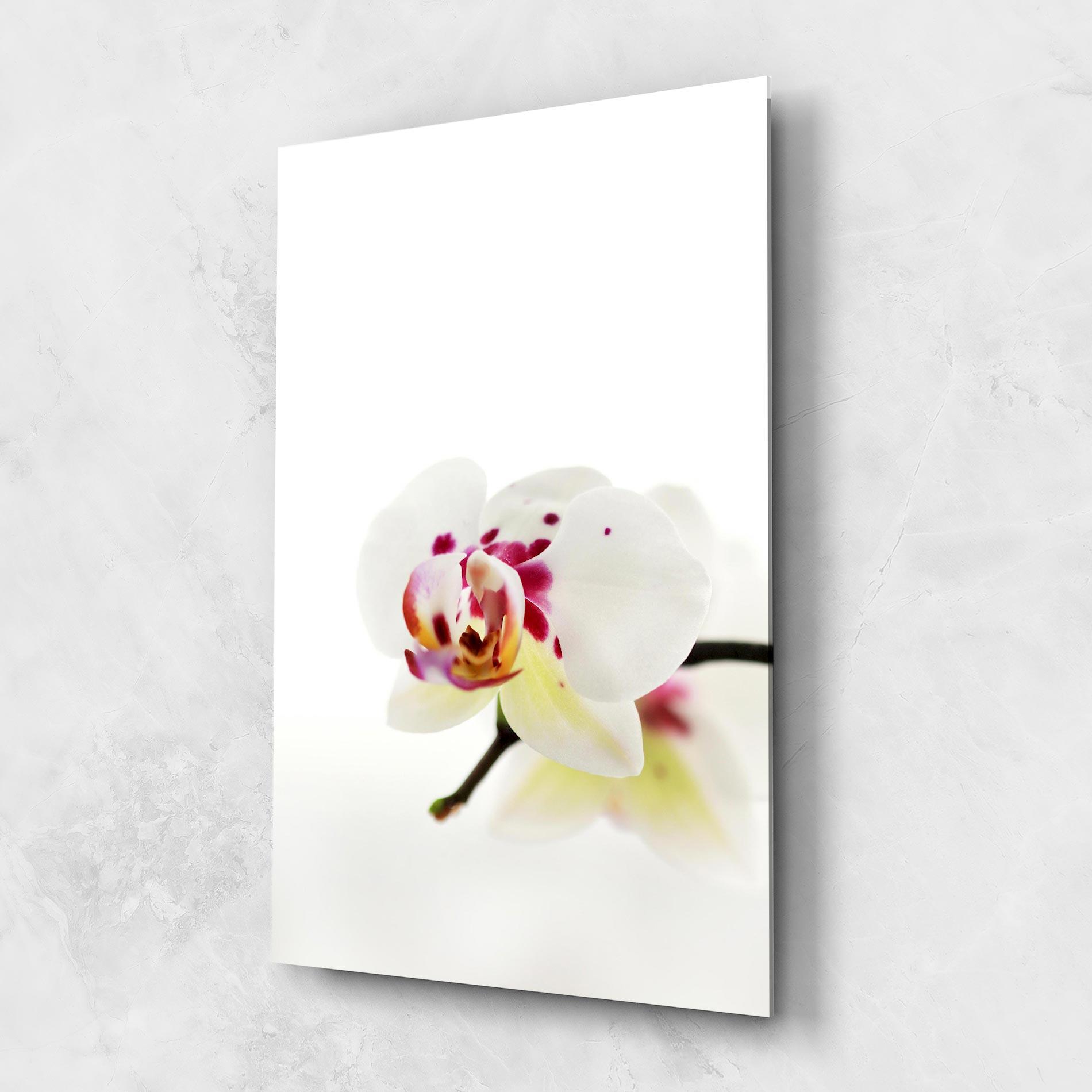 Tablou Sticla Clean White Orchid mockup 1