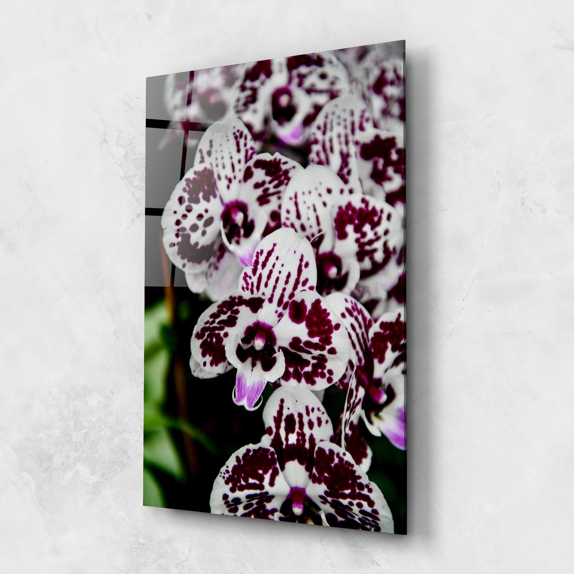 Tablou Sticla Dark Purple Orchids mockup 1
