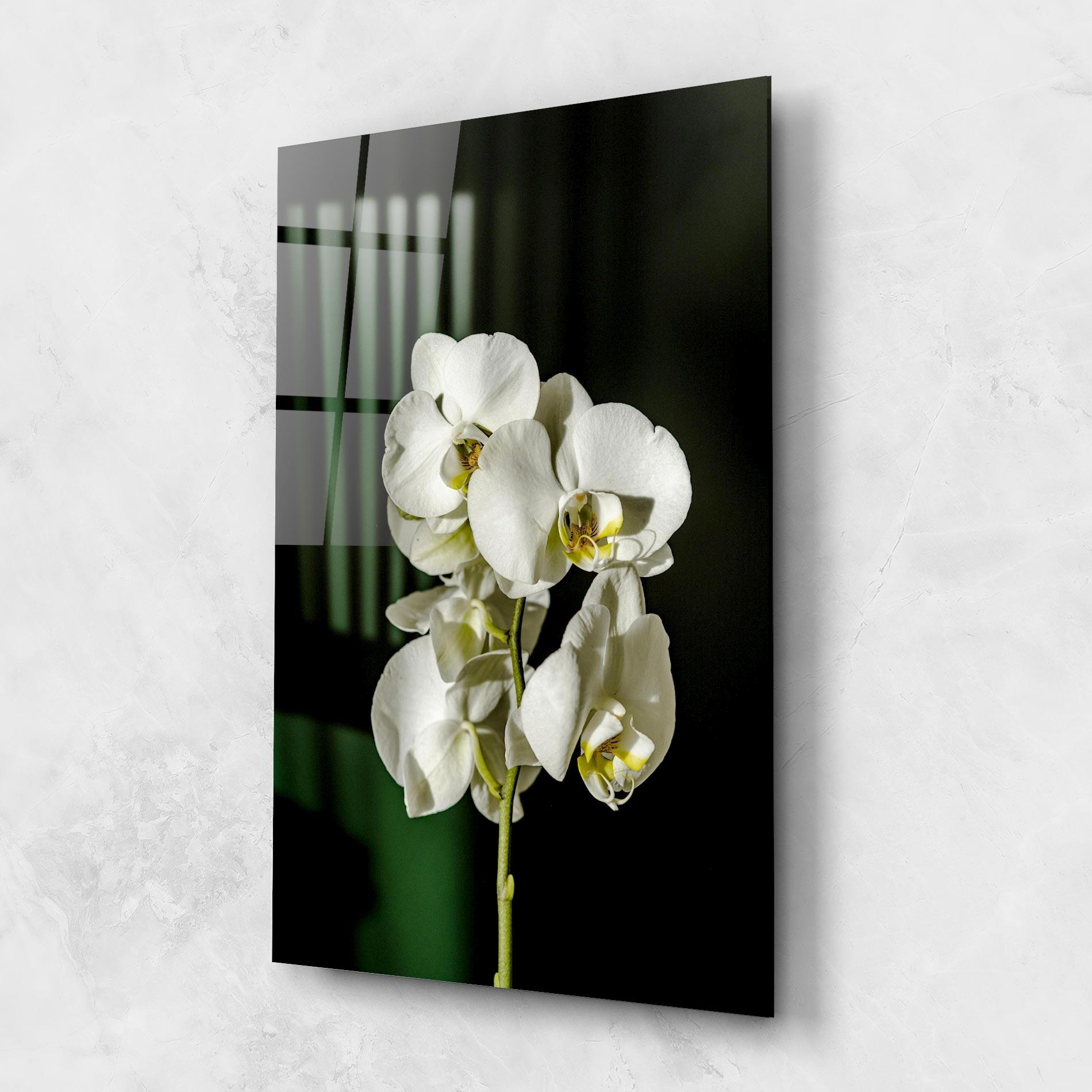 Tablou Sticla Orchid On Green mockup 1