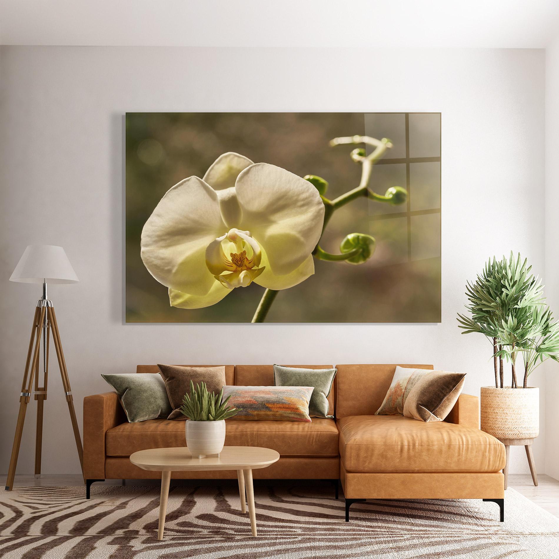 Tablou Sticla Pastel Yellow Orchid In Garden mockup 7