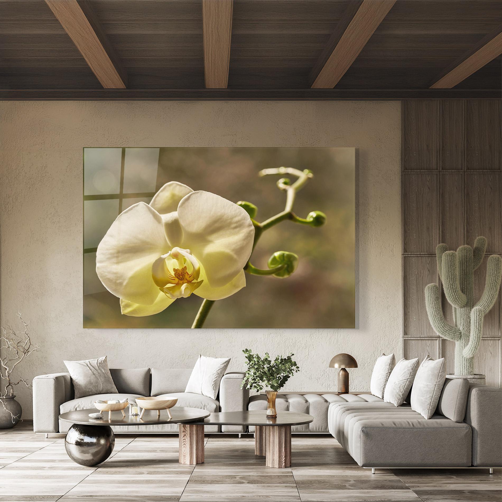 Tablou Sticla Pastel Yellow Orchid In Garden mockup 8