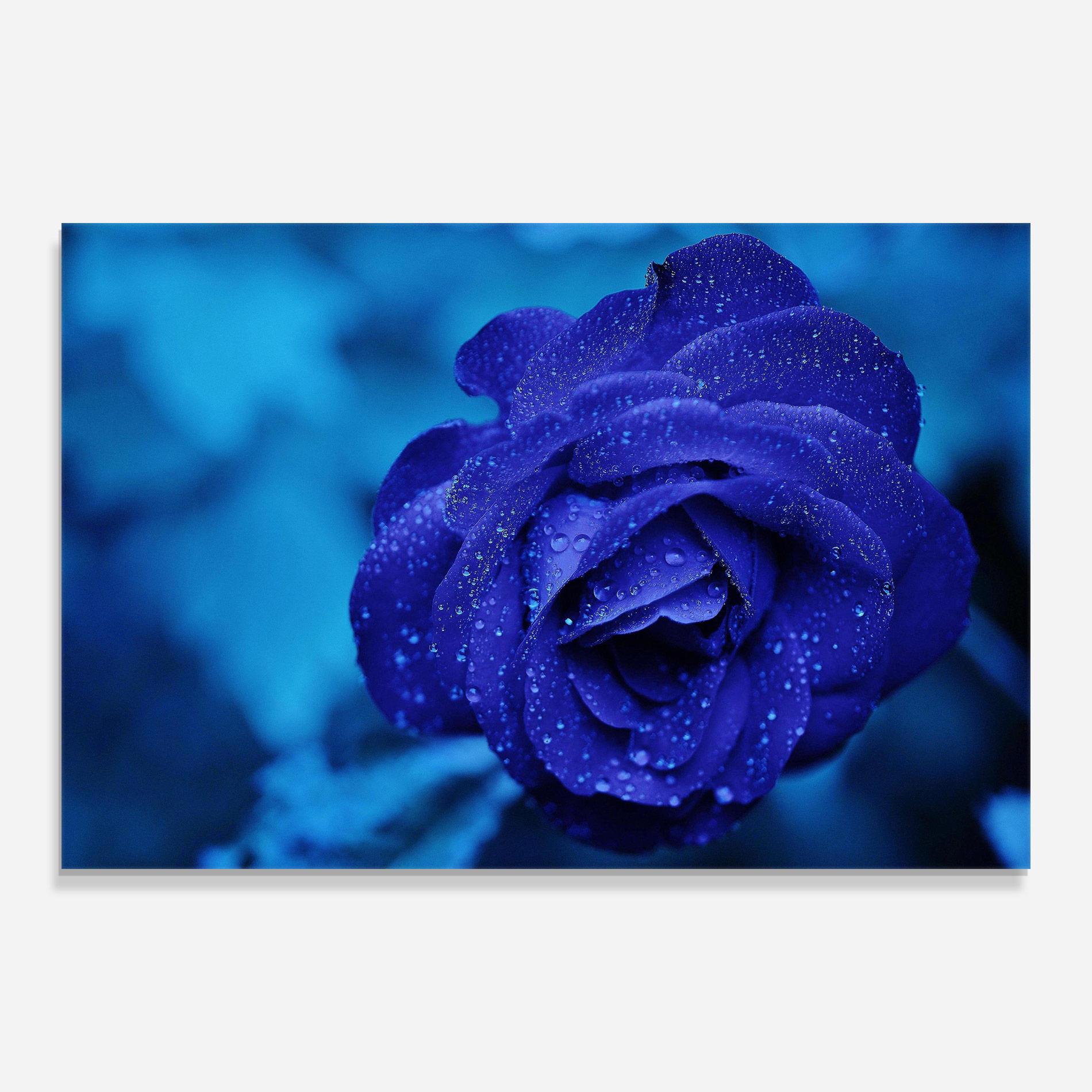 Tablou Sticla Blue Water Rose mockup 0
