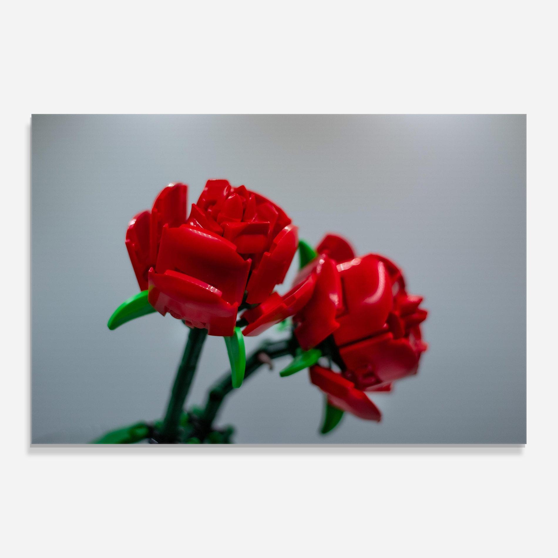 Tablou Sticla Lego Red Roses mockup 0