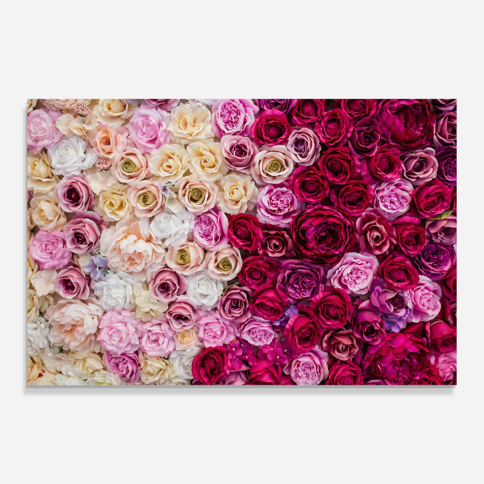 Perete Trandafiri mockup 0