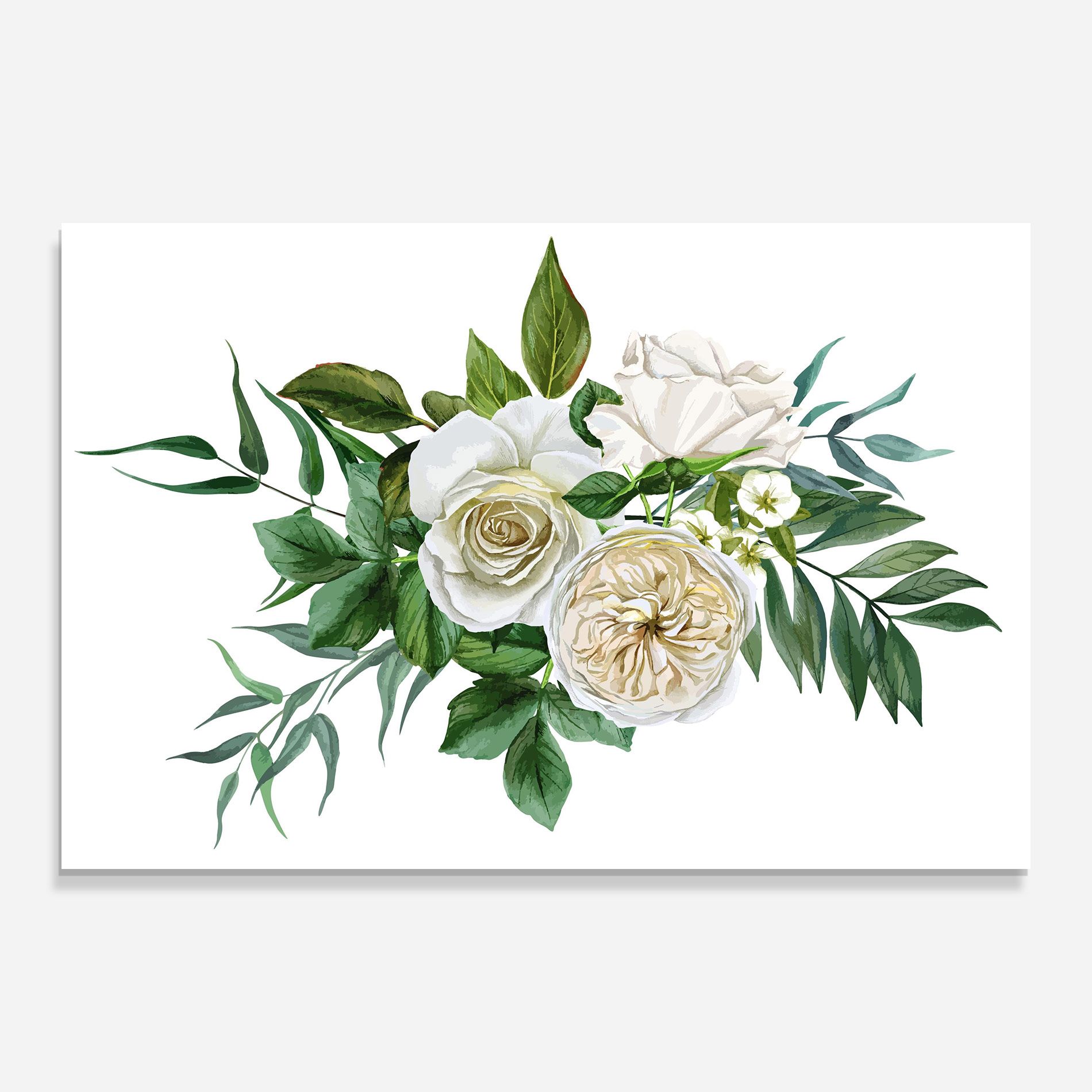 White Cream Rose mockup 0
