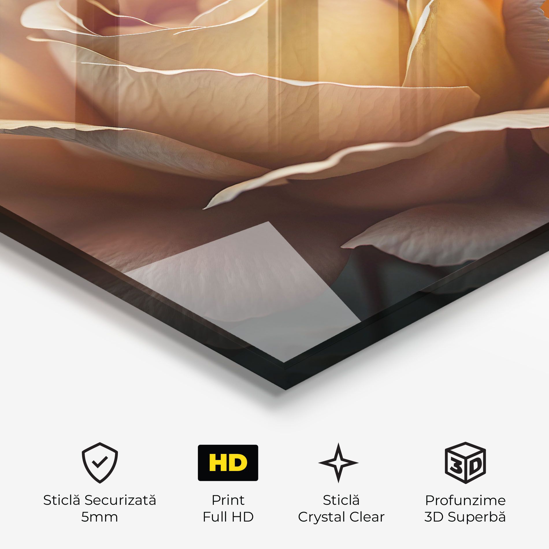 Light Orange Rose Close Up mockup 3