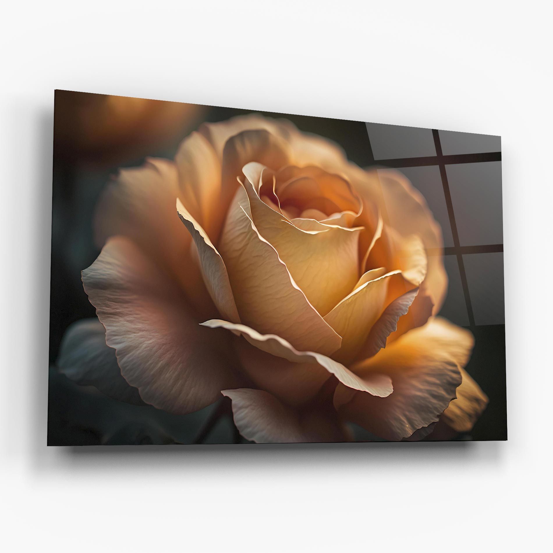 Light Orange Rose Close Up mockup 6