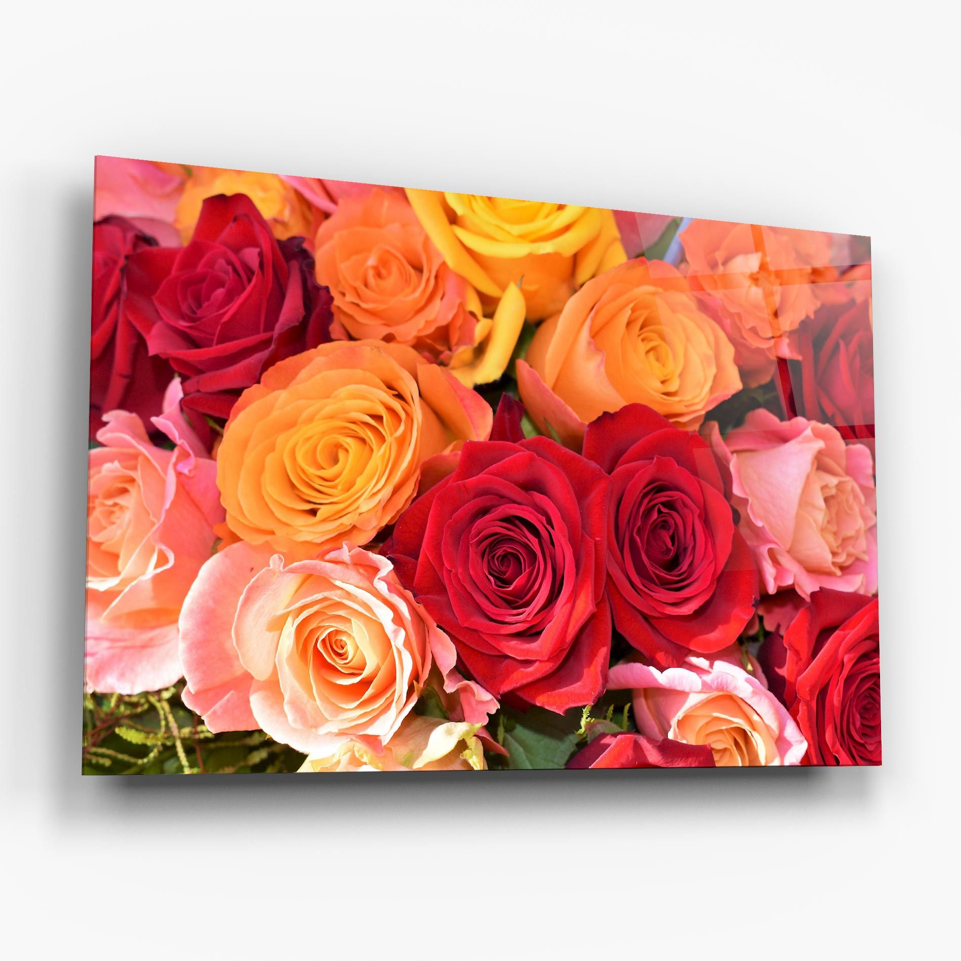 Mixed Roses mockup 6