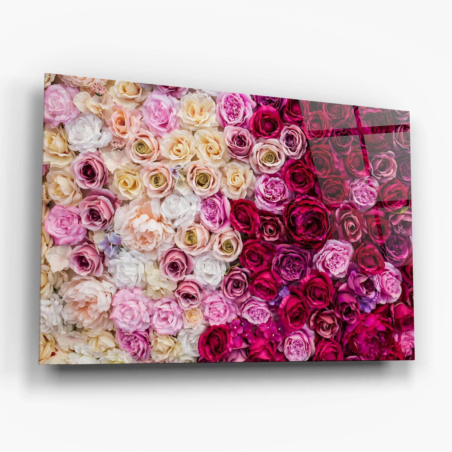 Perete Trandafiri mockup 6